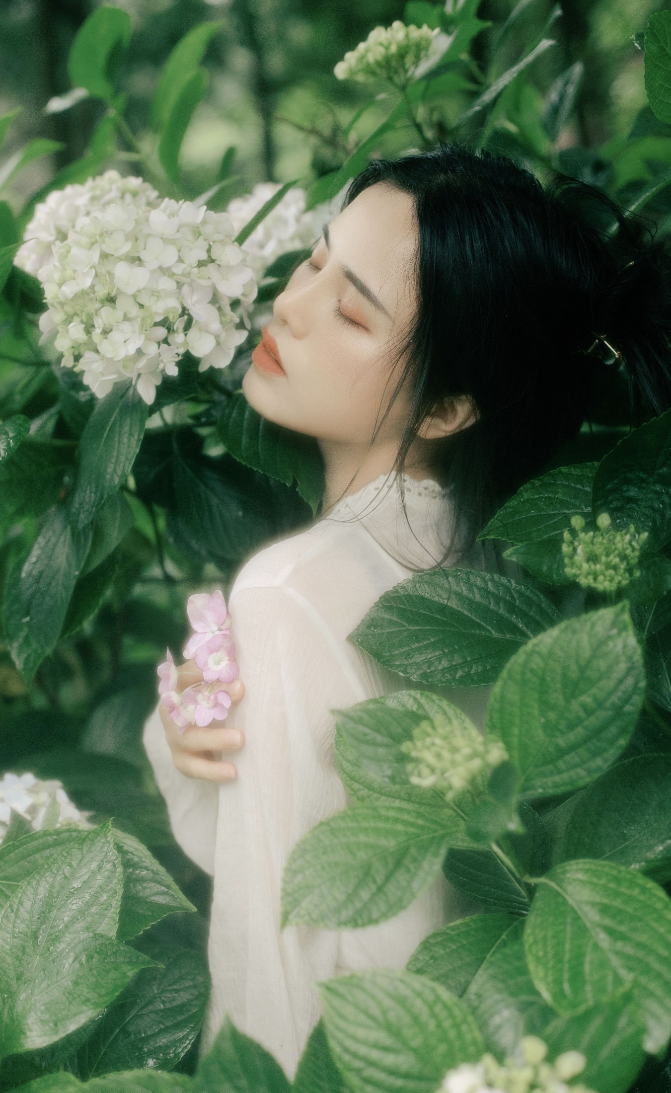 安妮 – 《花开半夏》[24P]