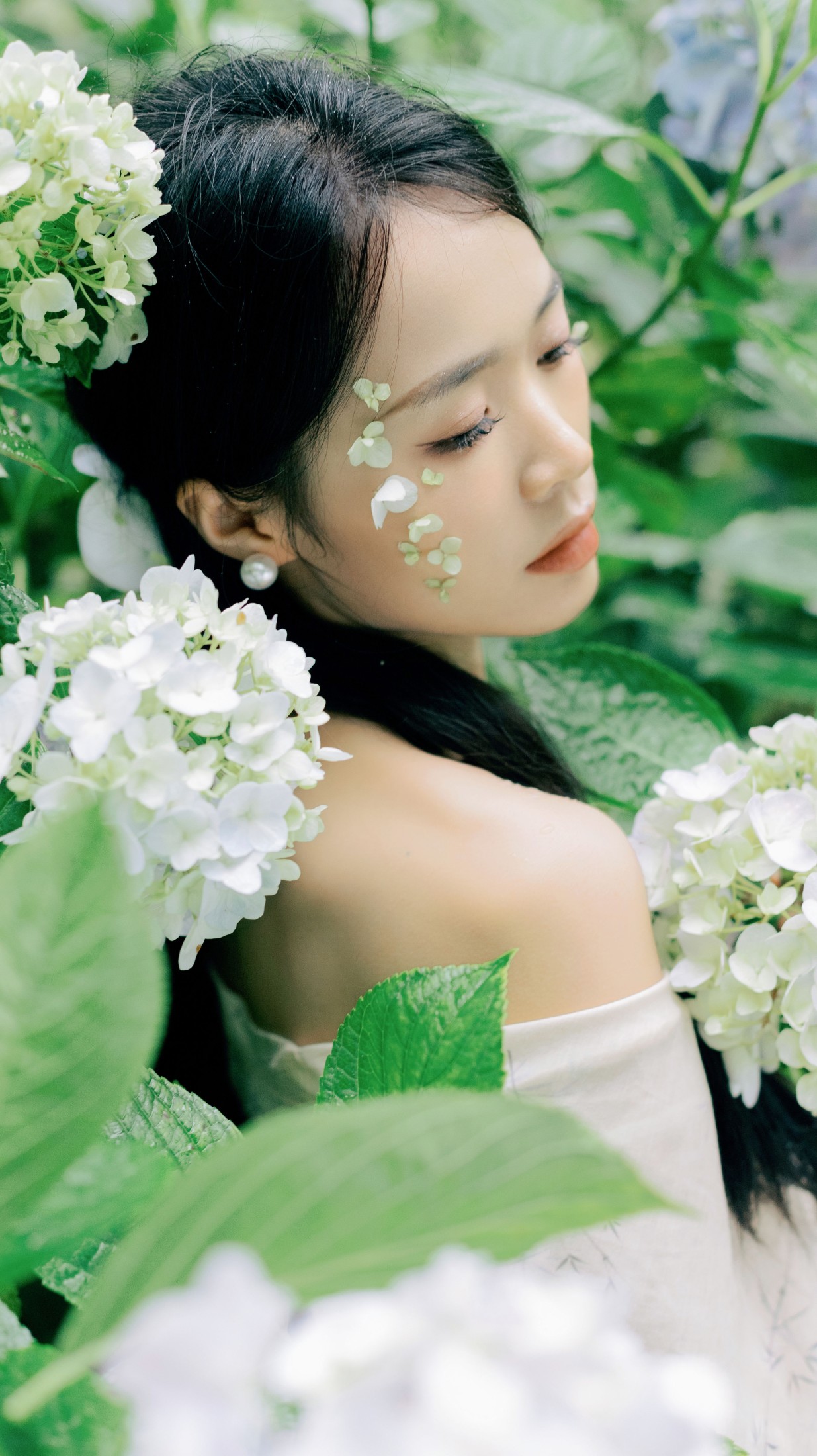 一 – 《山间绣球花正开》[26P]