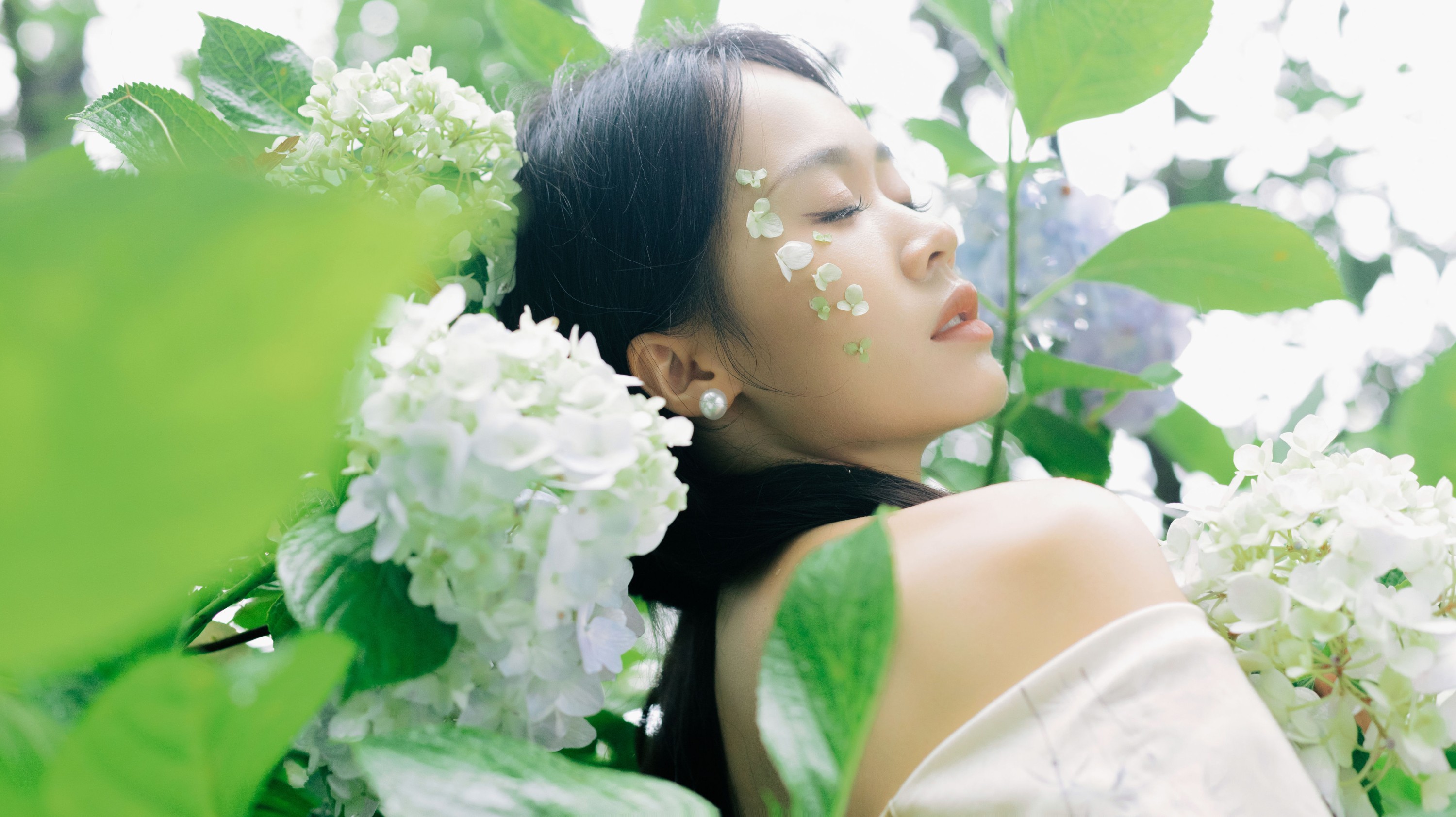 一 – 《山间绣球花正开》[26P]