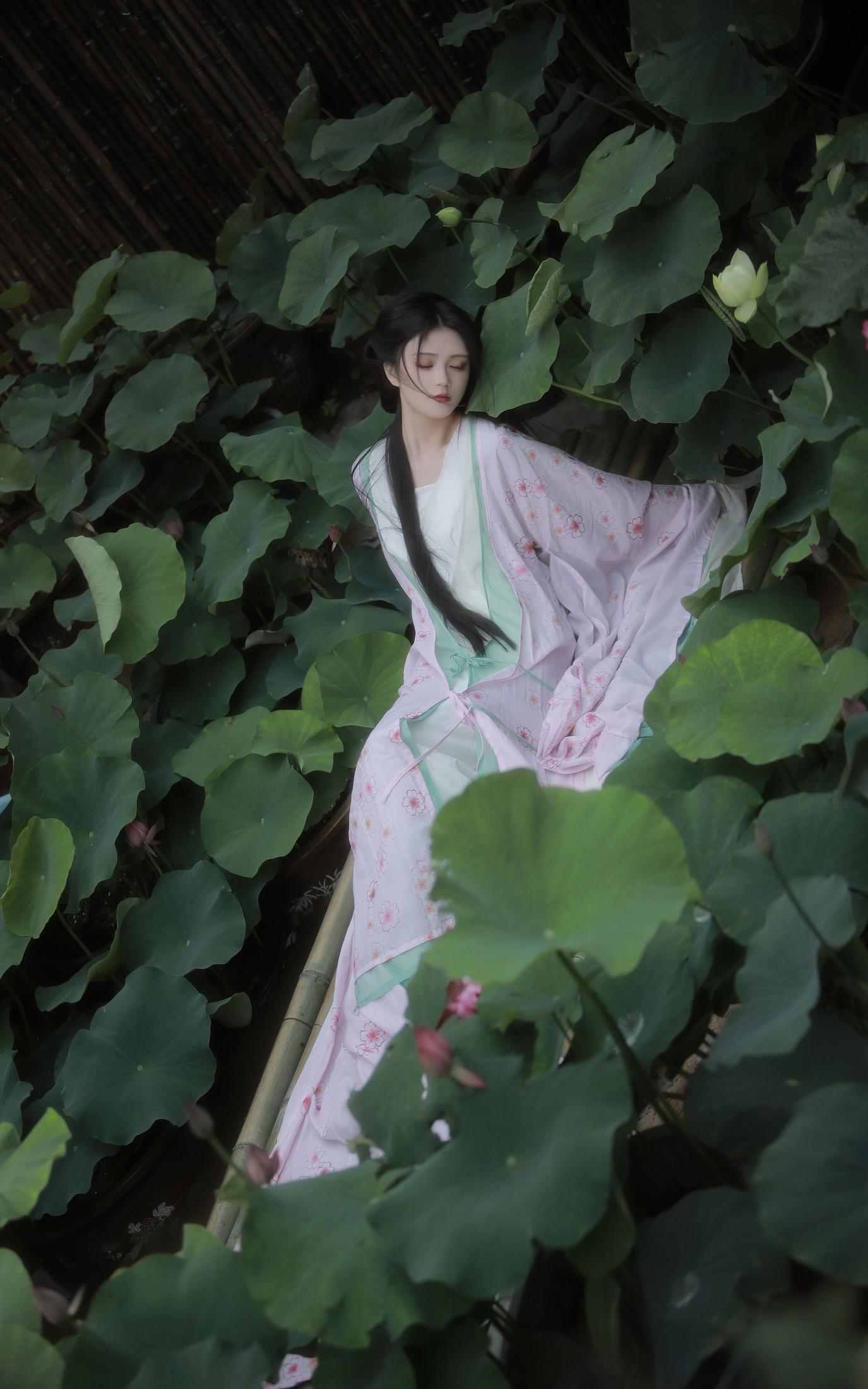 吾岁岁 – 《山川知夏，岁华灼灼》[24P]