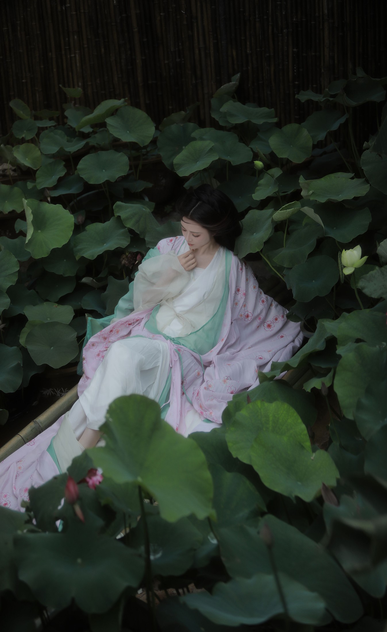 吾岁岁 – 《山川知夏，岁华灼灼》[24P]