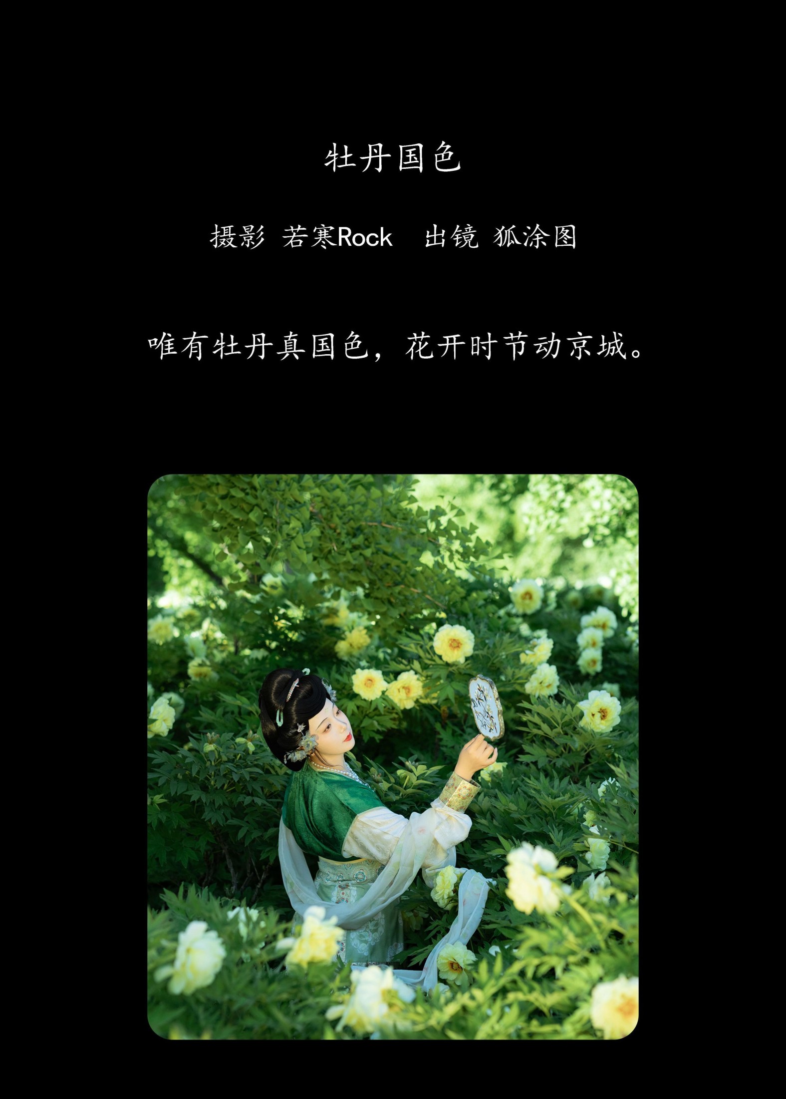 狐涂图突突突 – 《牡丹国色》[34P]