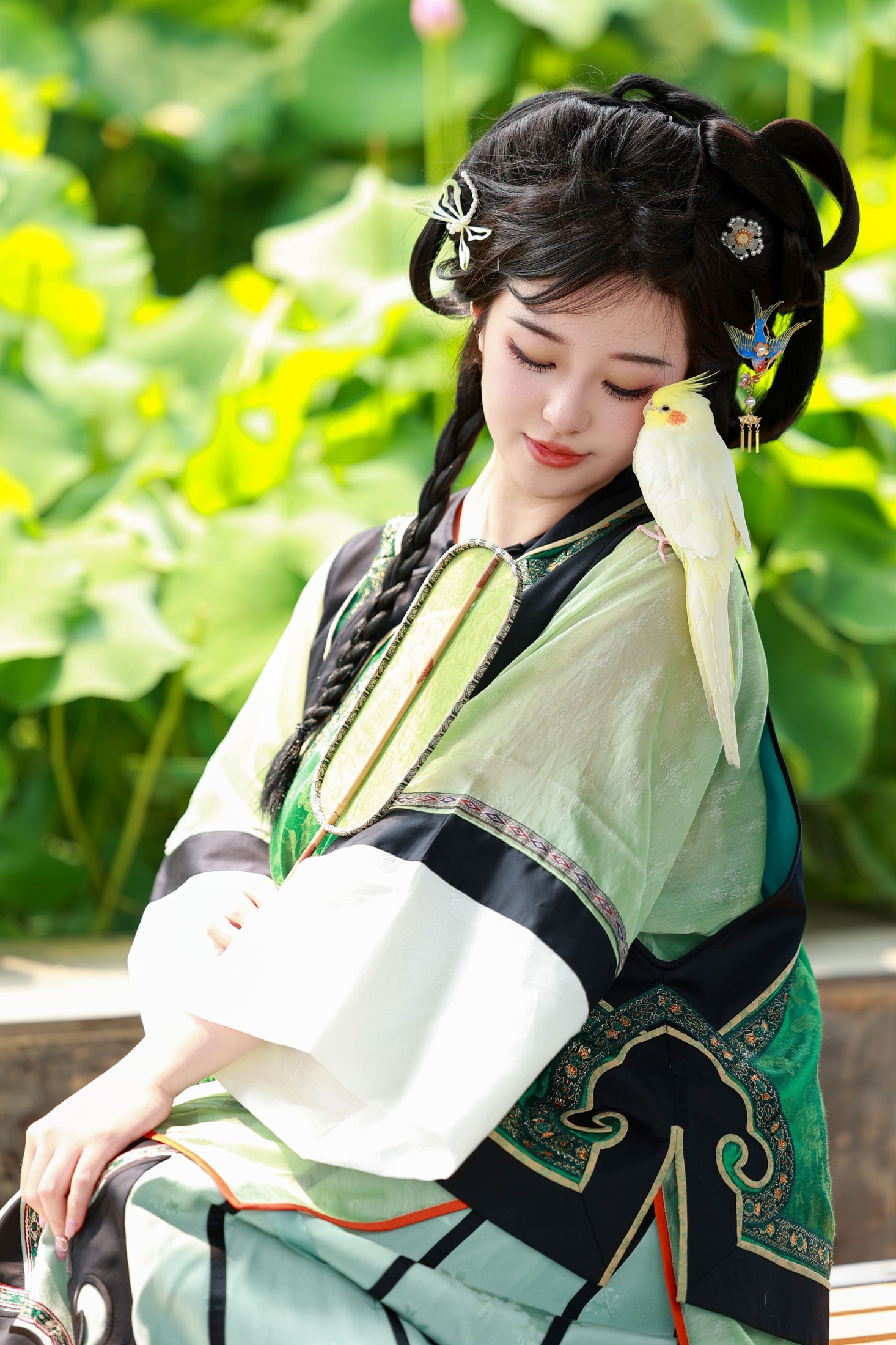 不可爱的禾禾喵 – 《绿茵》[52P]