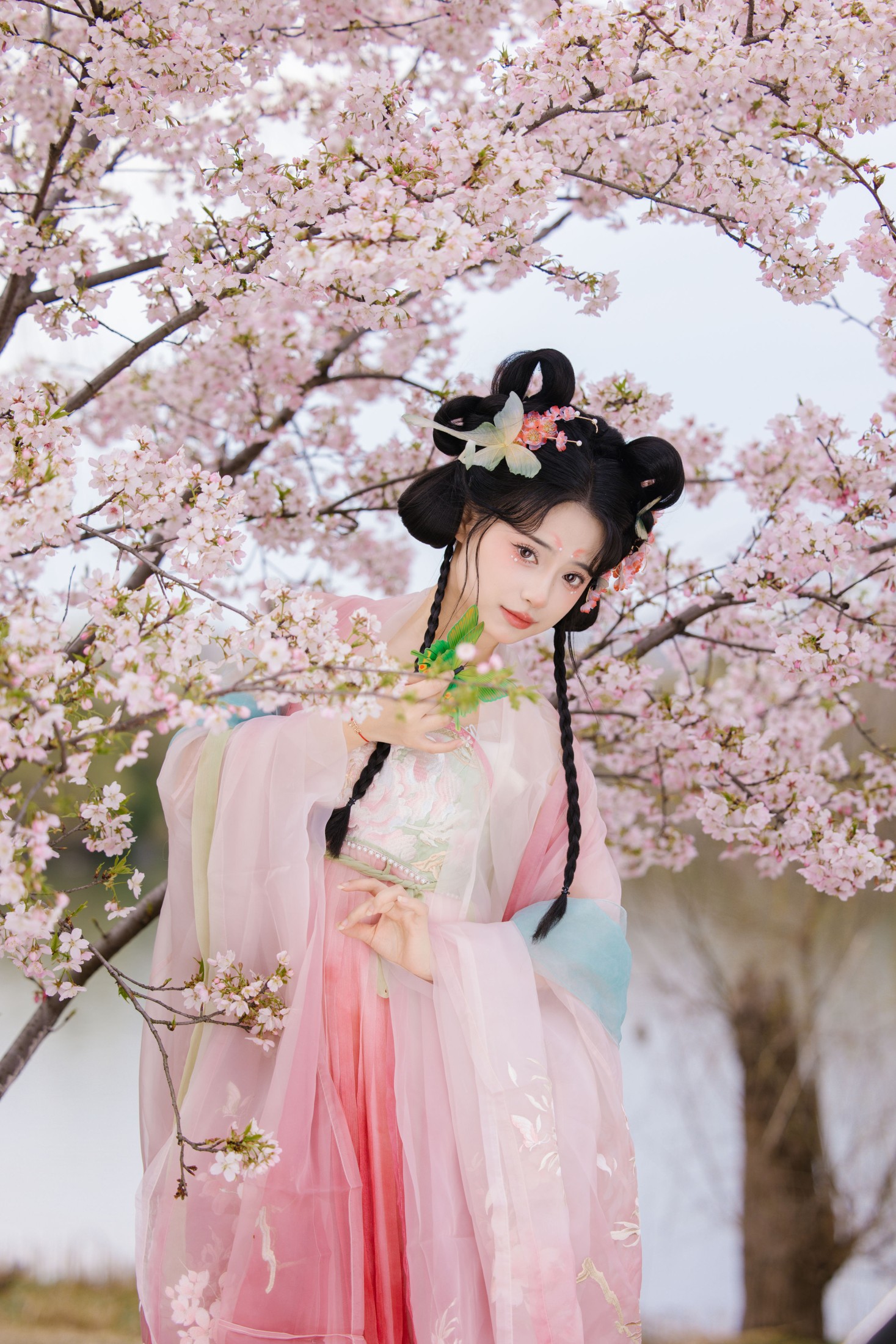 衔鹿 – 《赏樱》[30P]