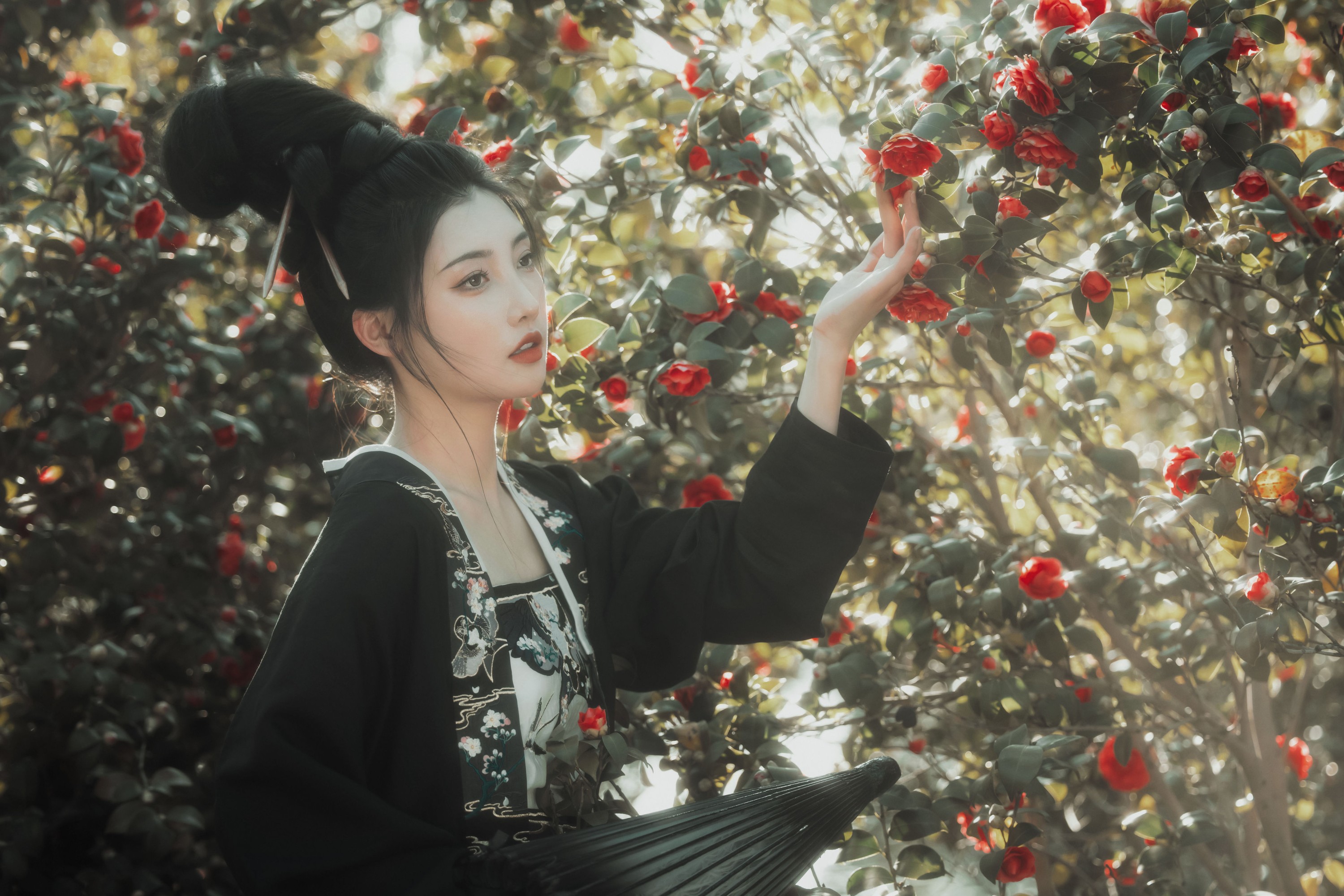 素素 – 《山茶不懂红玫瑰》[36P]