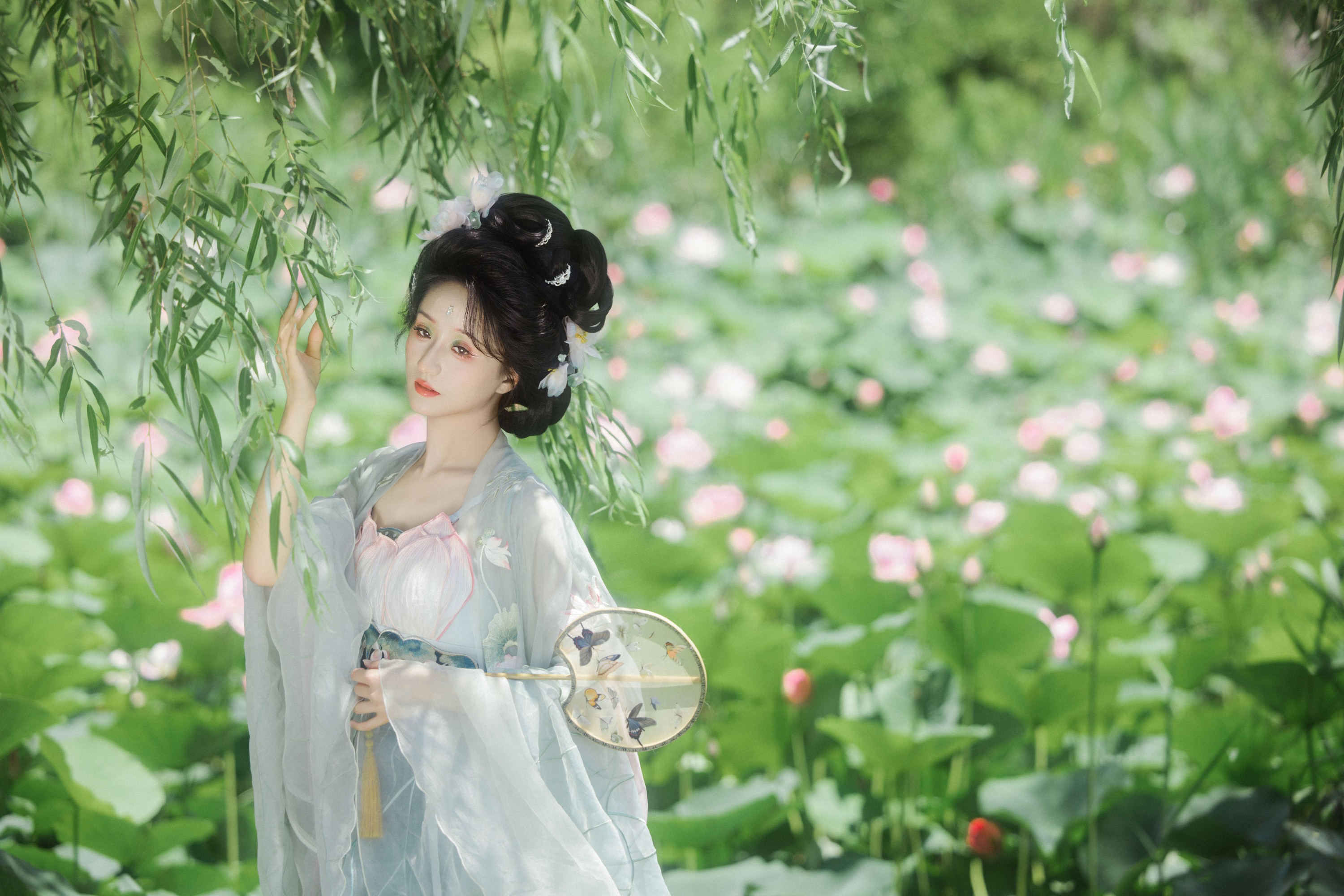 飘飘不吃草 – 《风吹荷花香》[34P]