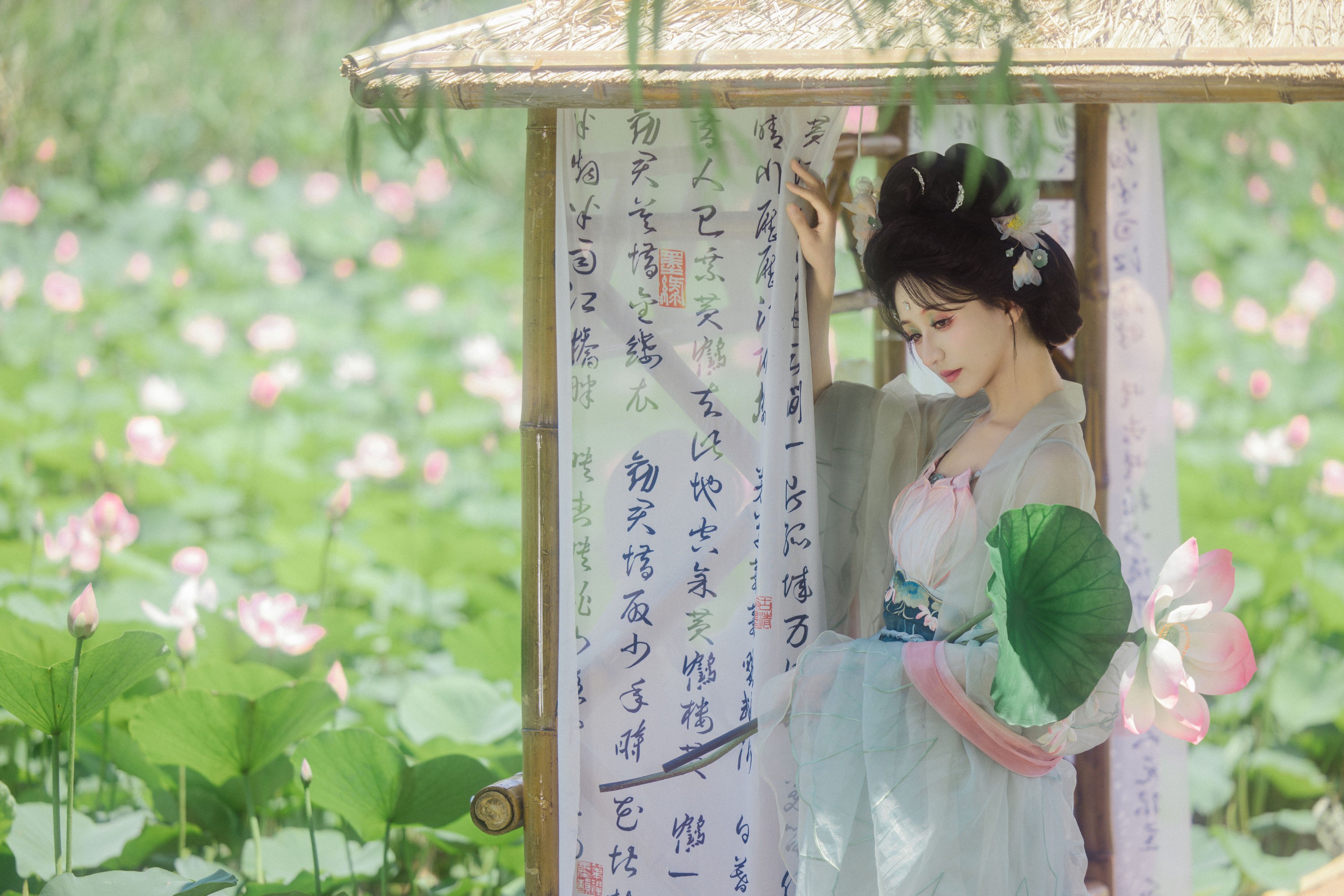 飘飘不吃草 – 《风吹荷花香》[34P]