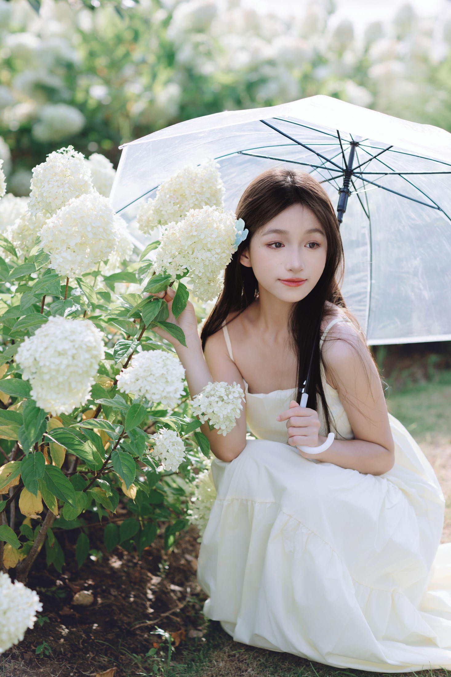 钰儿 – 《夏日绣球》[26P]