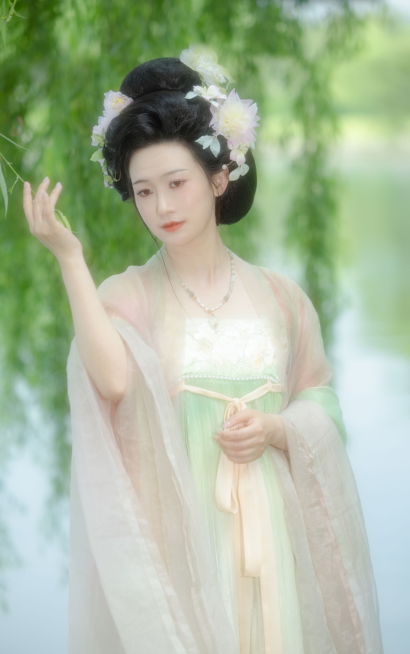 知时 – 《杨柳依依》[20P]