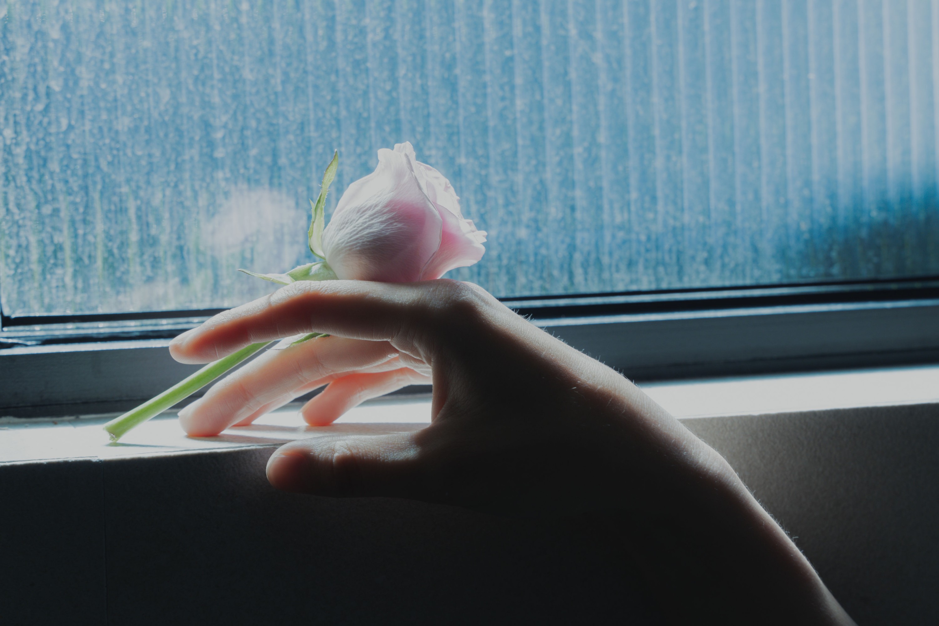 JJ – 《孤傲的绽放》[27P]