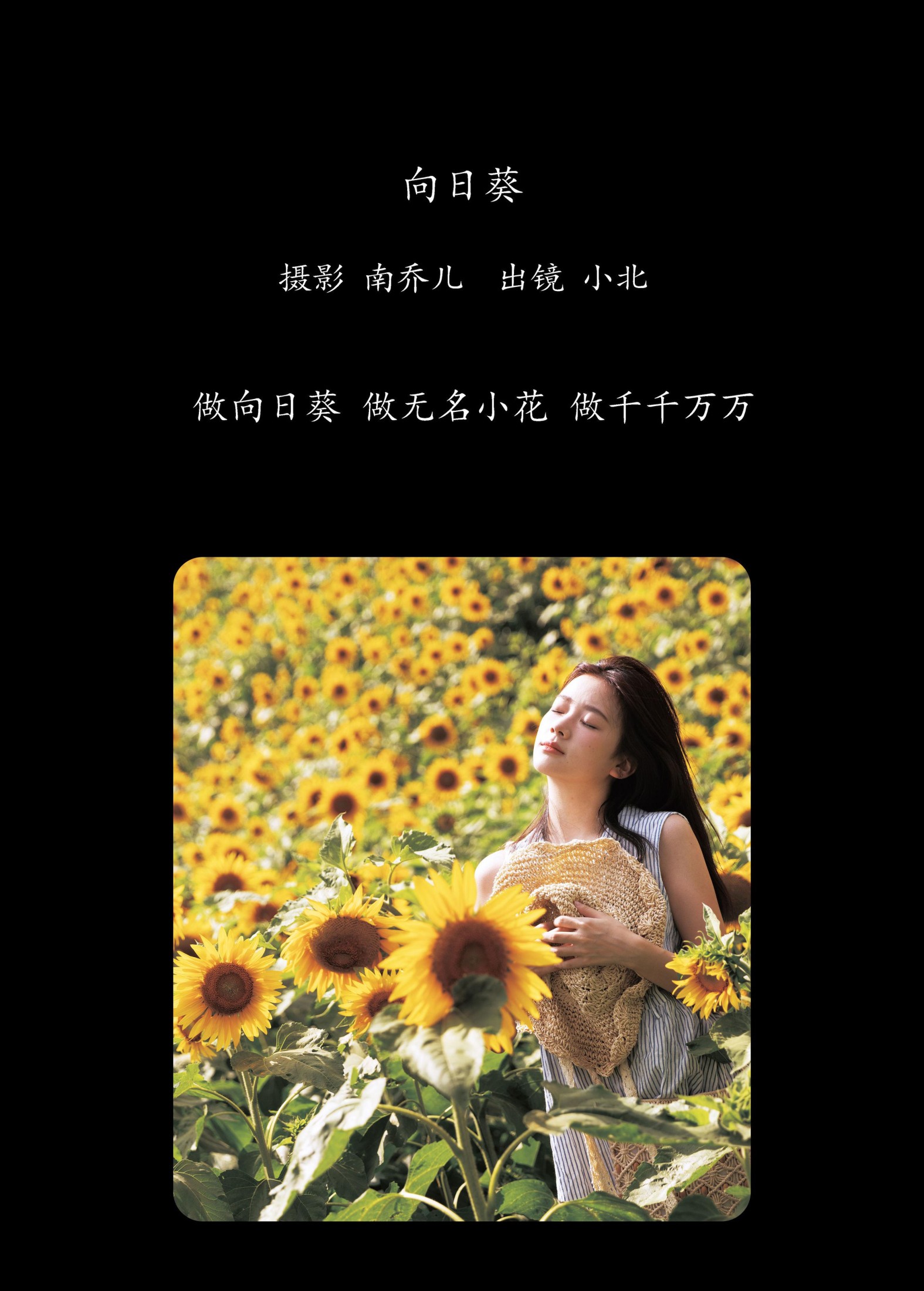 To小北 – 《向日葵》[26P]