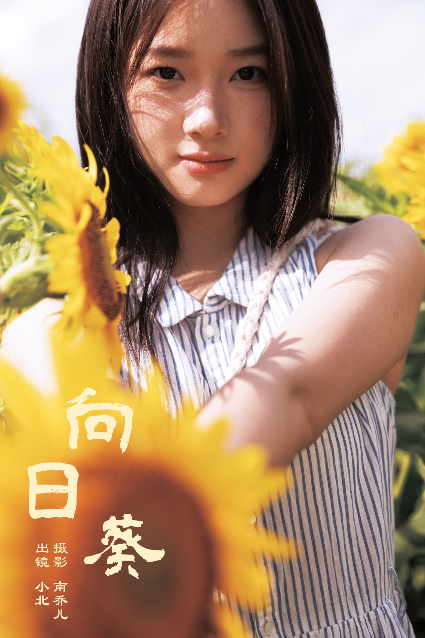 To小北 – 《向日葵》[26P]