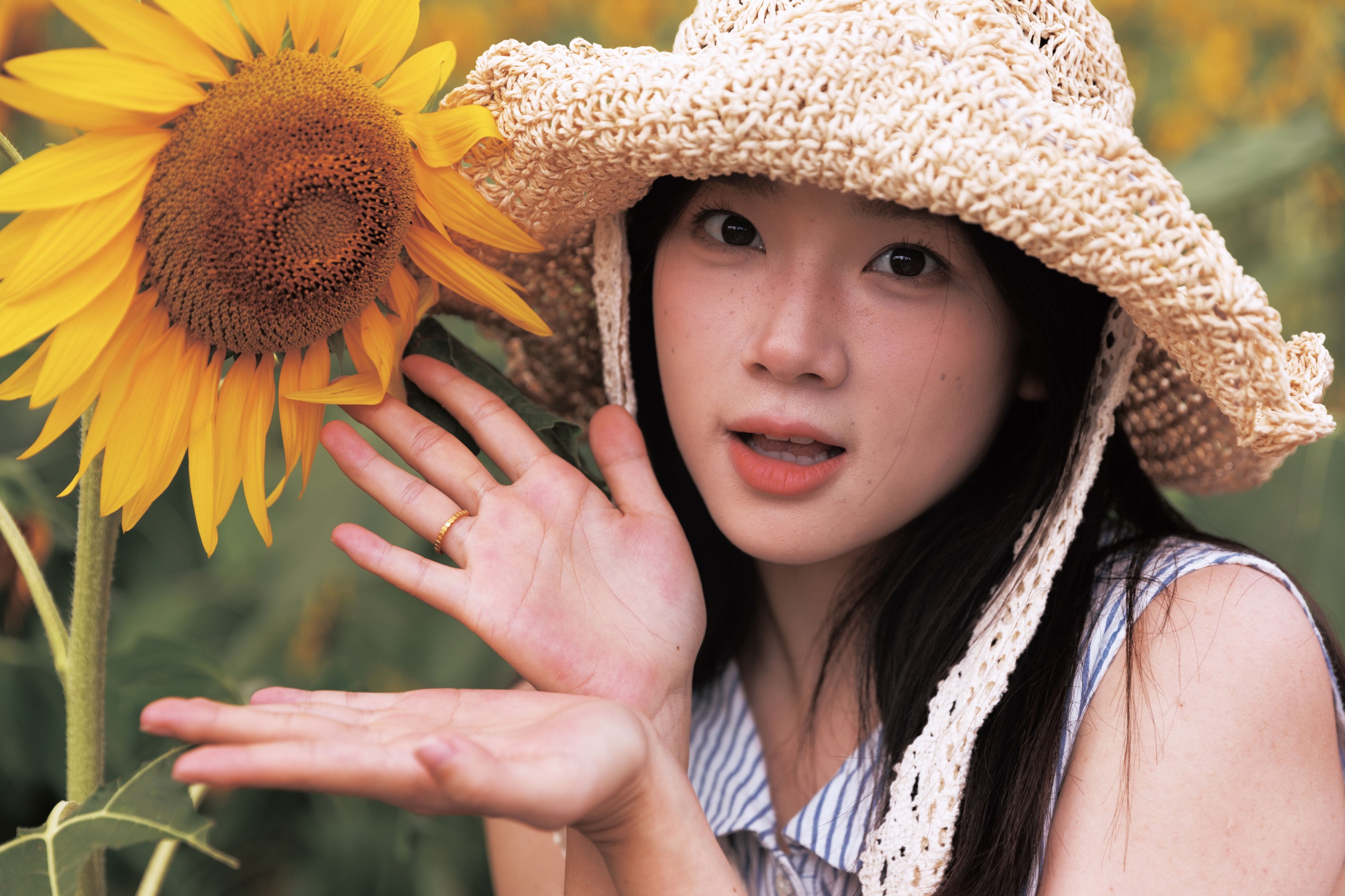 To小北 – 《向日葵》[26P]