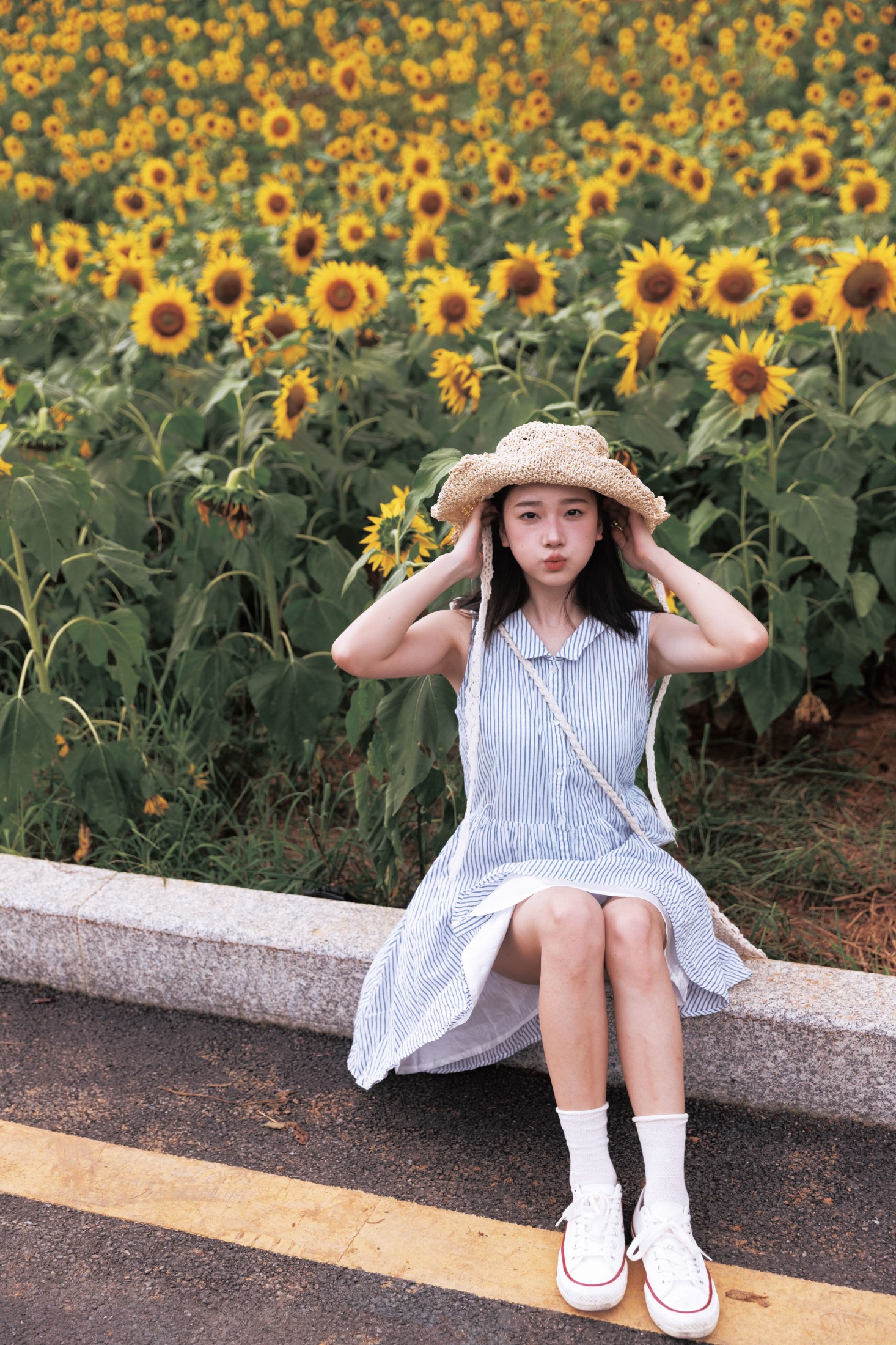 To小北 – 《向日葵》[26P]