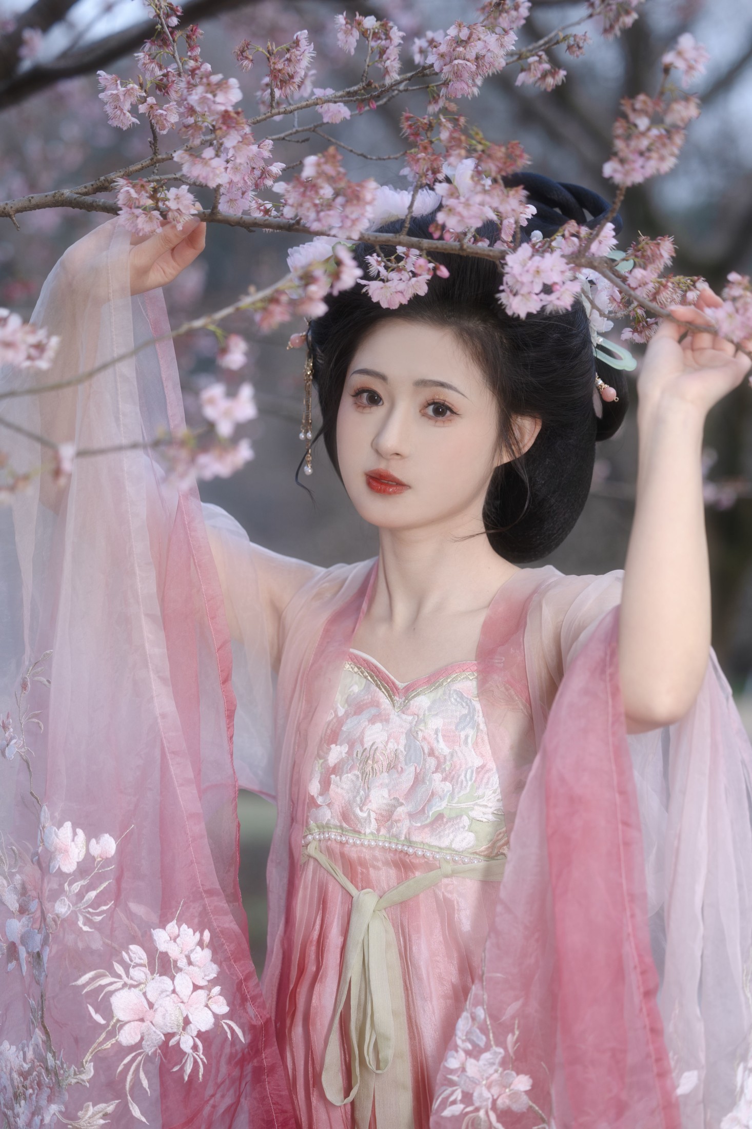 芋媛一碗 – 《樱花少女》[21P]