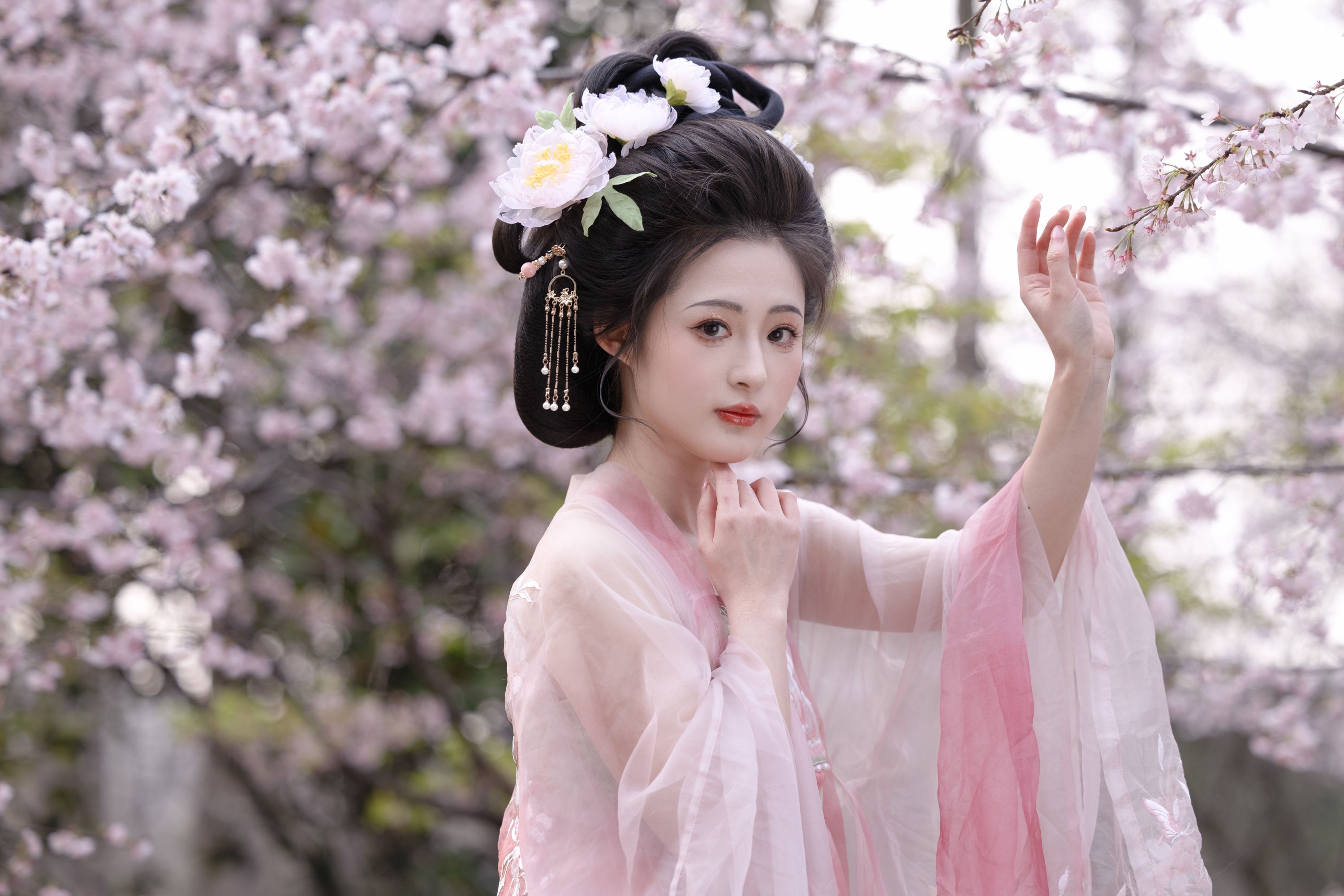 芋媛一碗 – 《樱花少女》[21P]