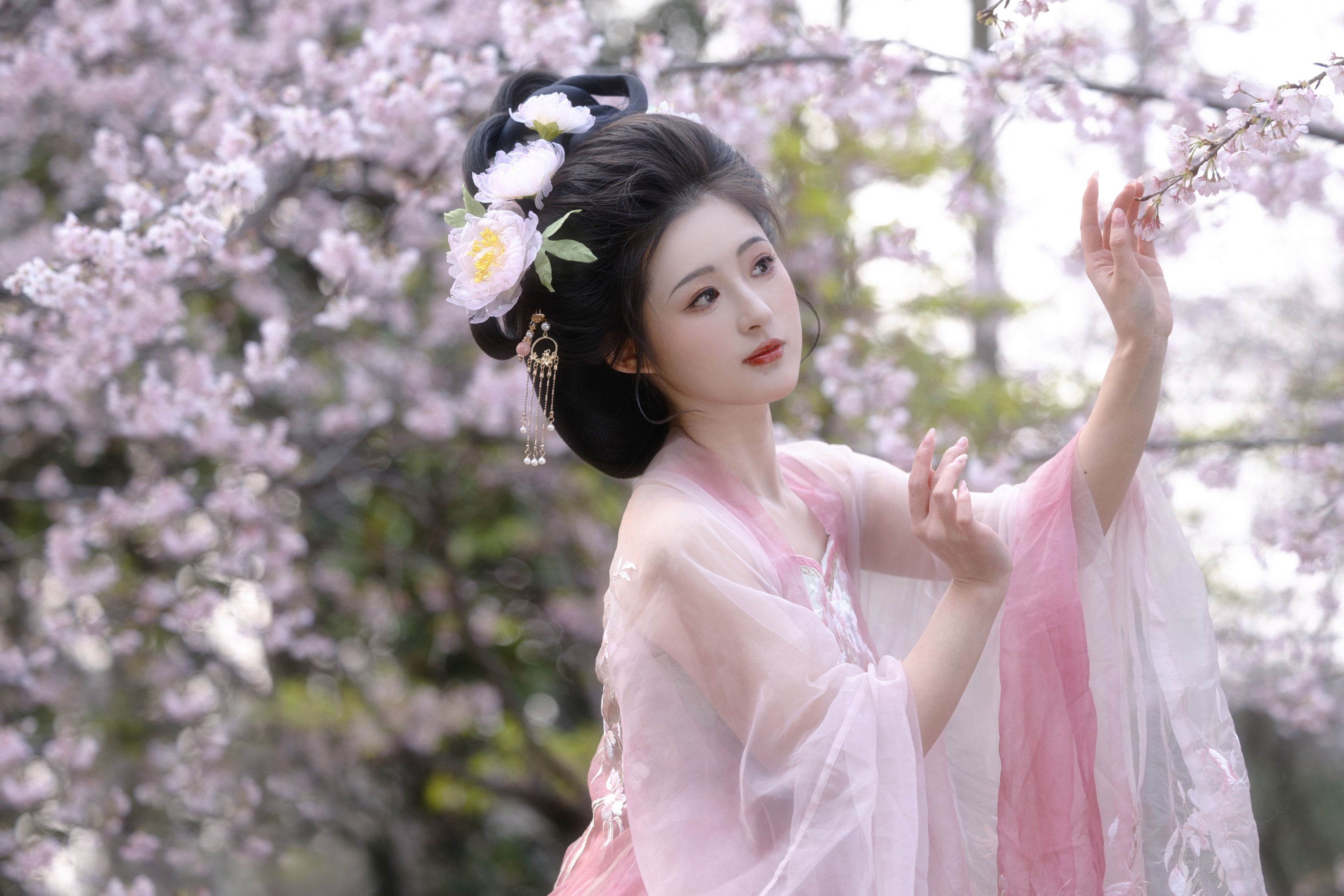 芋媛一碗 – 《樱花少女》[21P]