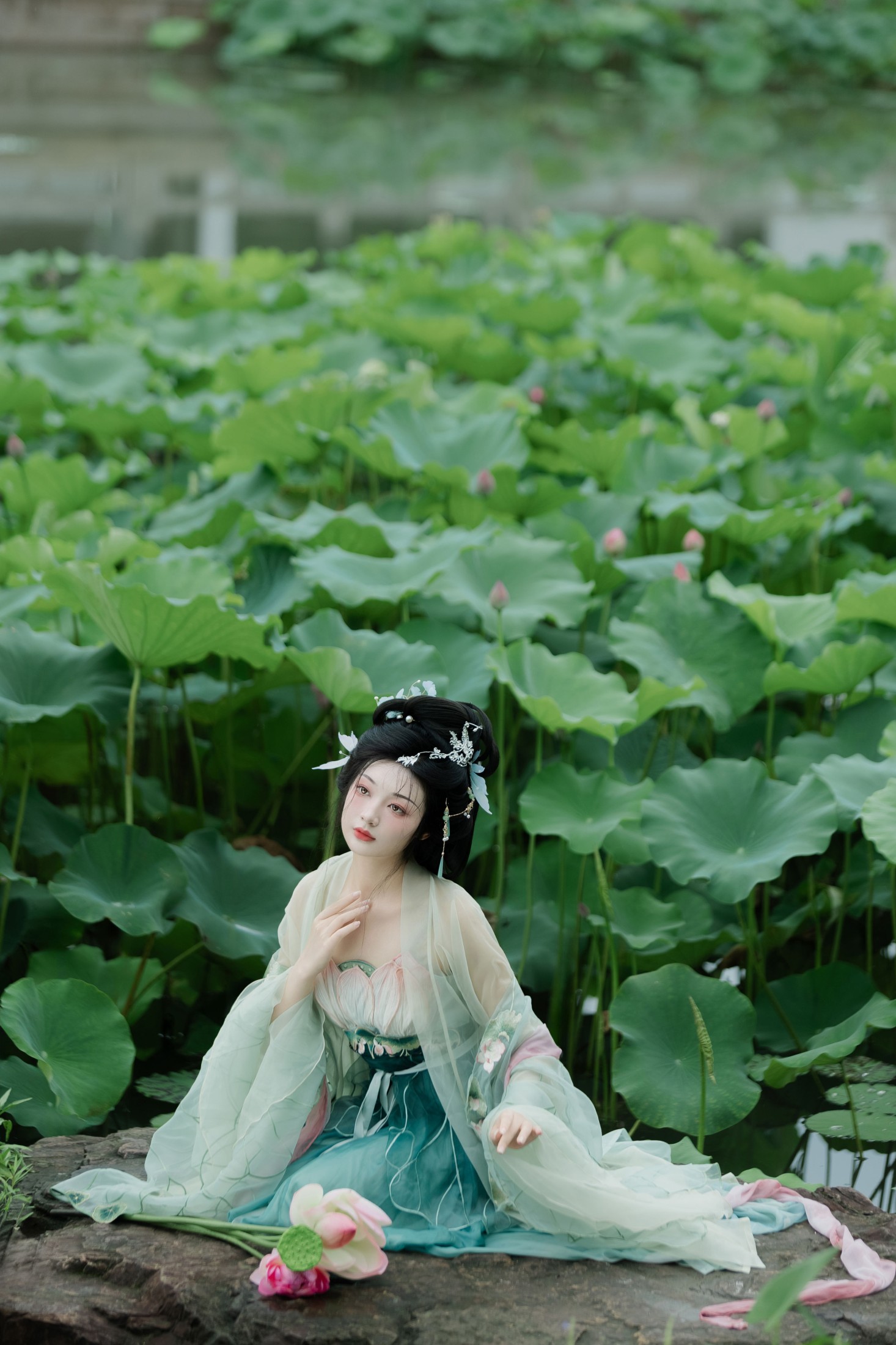 庄子清 – 《暑荷》[32P]