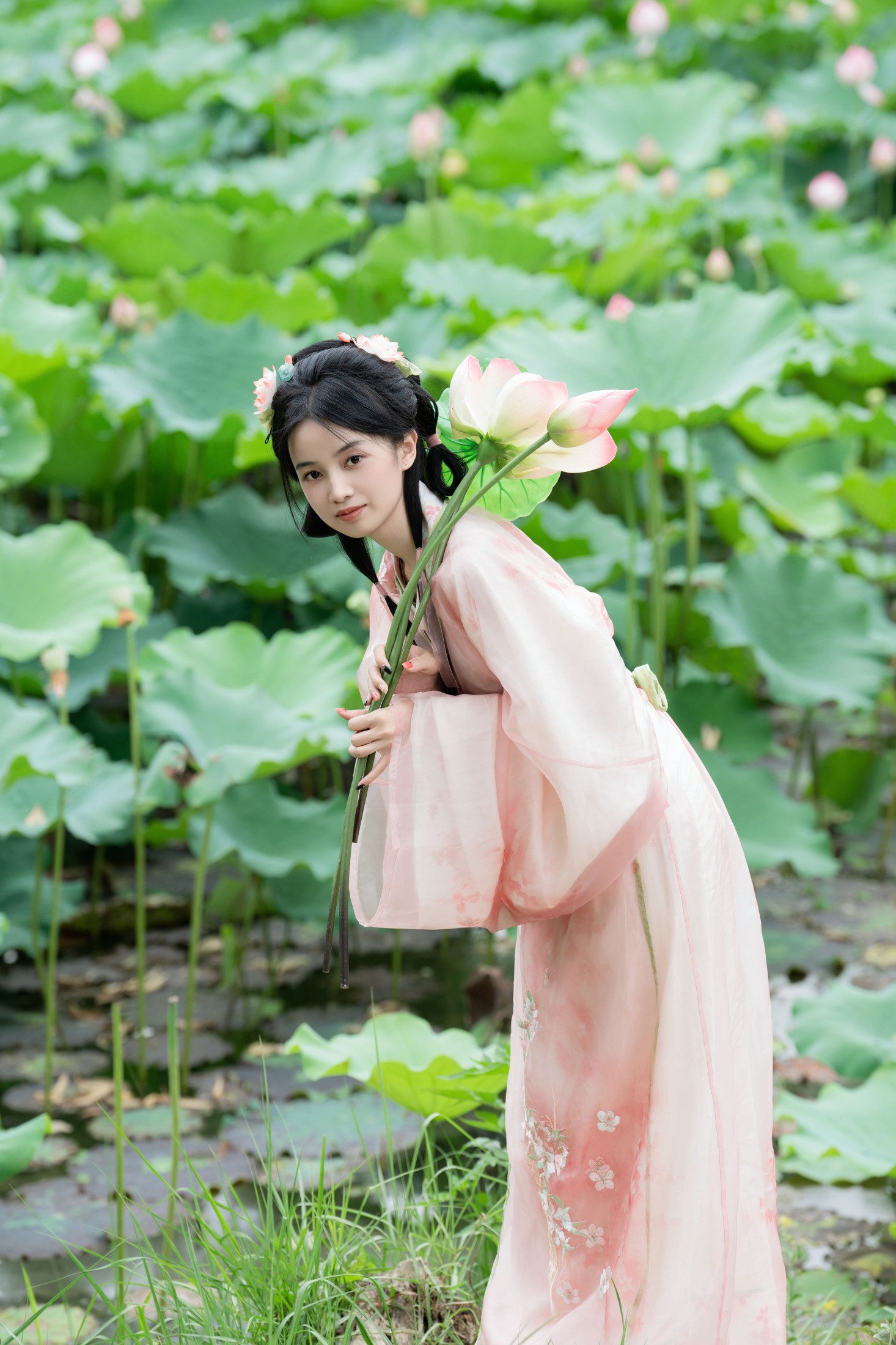 spring – 《接天莲叶无穷碧》[25P]