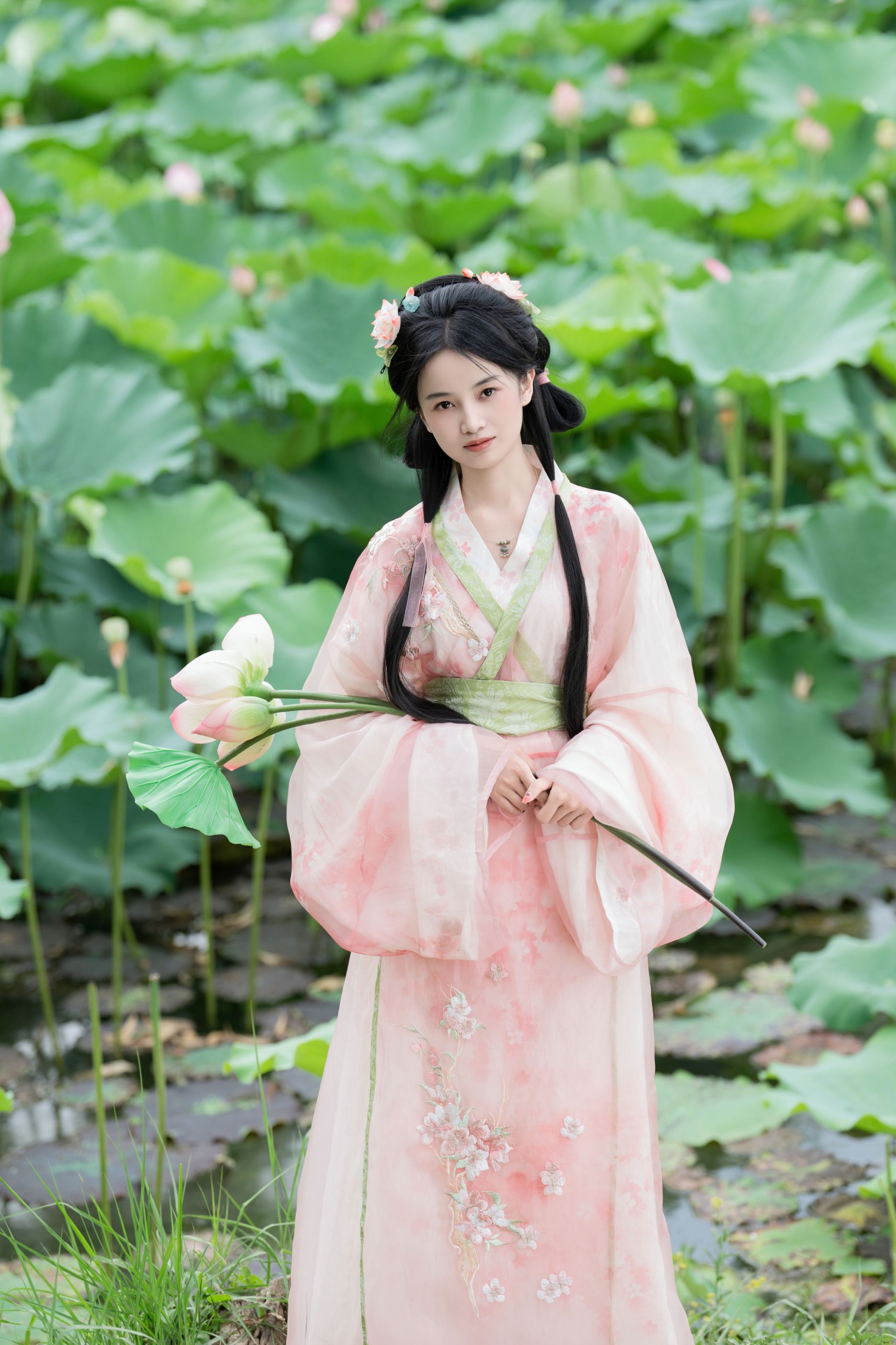 spring – 《接天莲叶无穷碧》[25P]