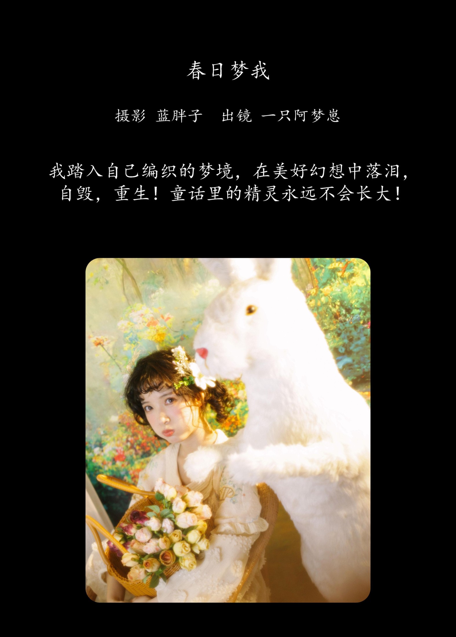 一只阿梦崽 – 《春日梦我》[29P]