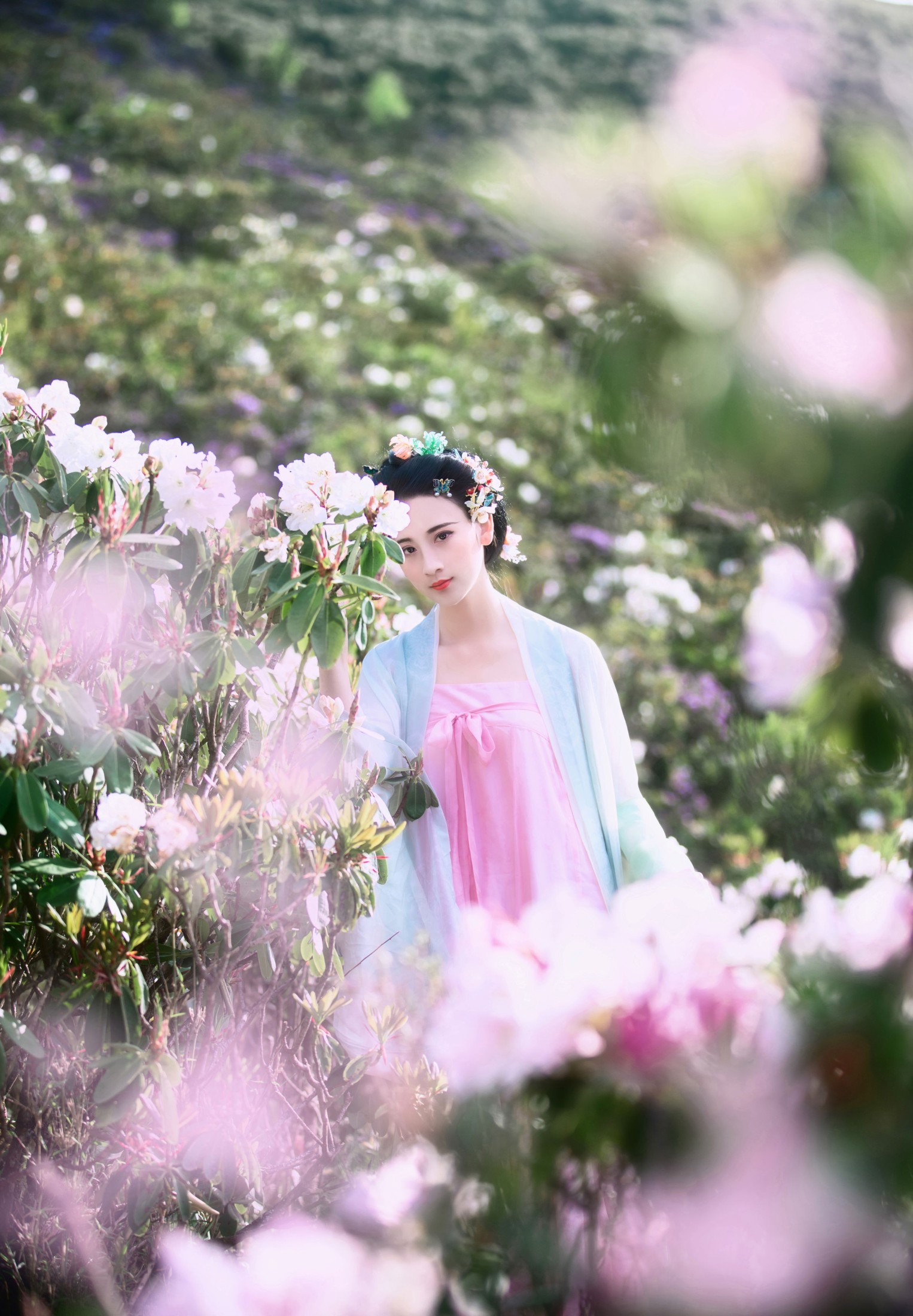 半夏夏夏 – 《杜鹃》[28P]