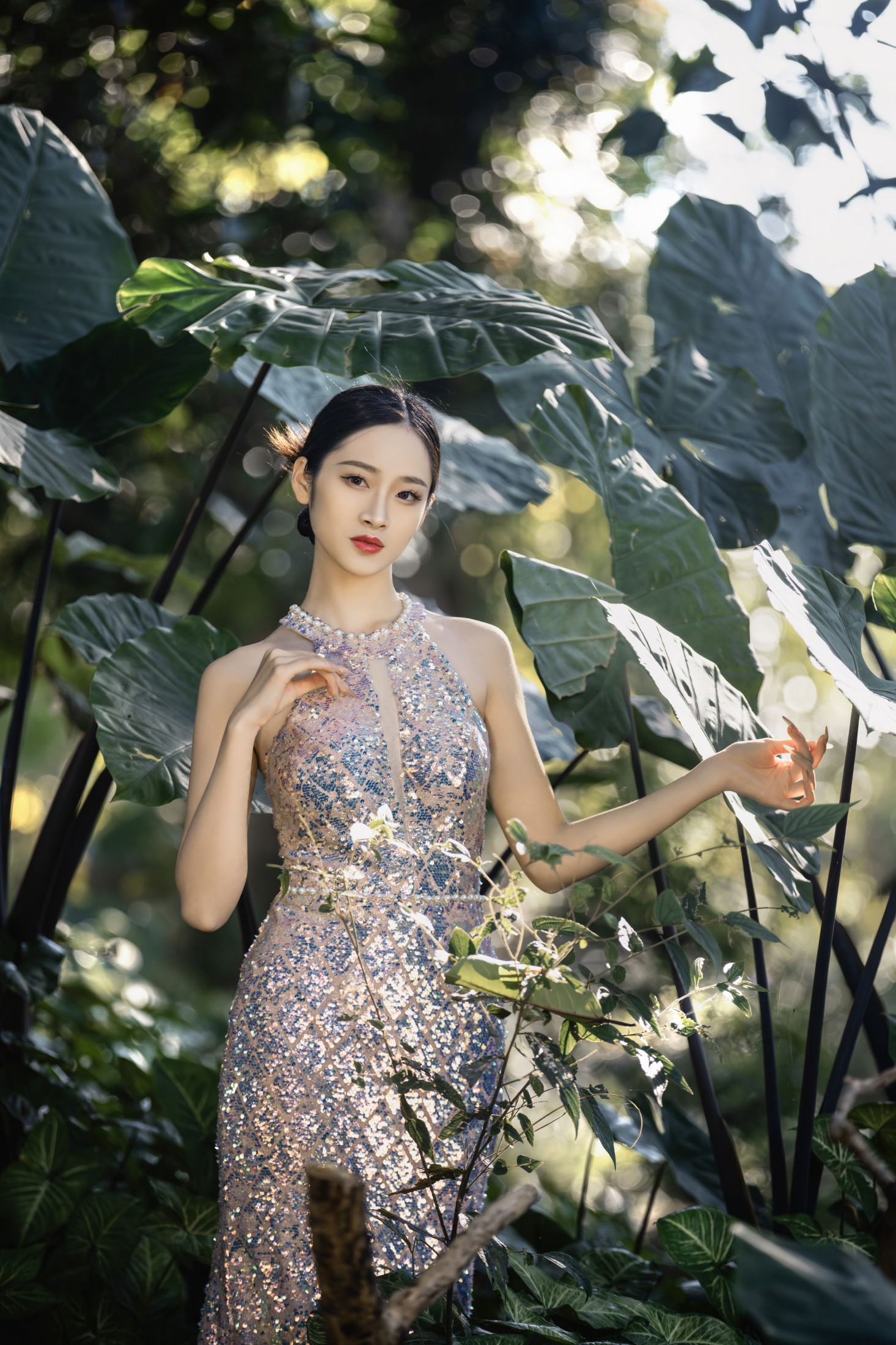 然染 – 《热带雨林》[28P]