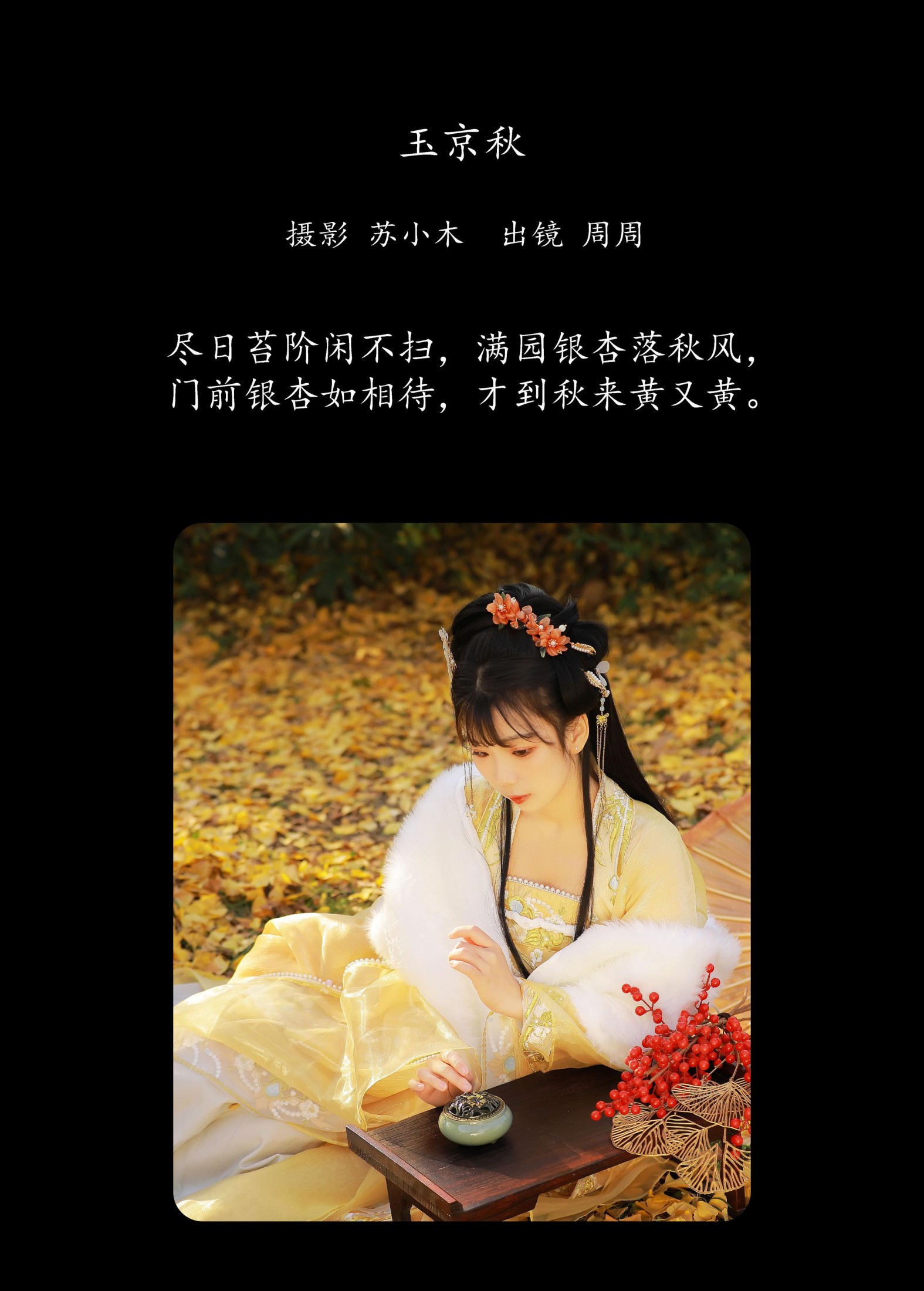 周周Ay – 《玉京秋》[25P]