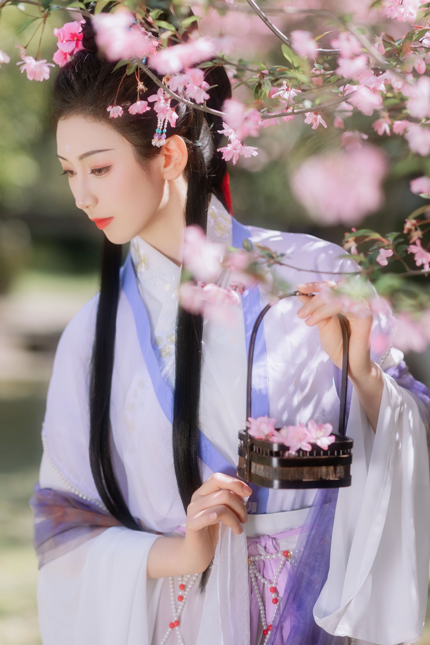 静姝 – 《海棠春》[25P]