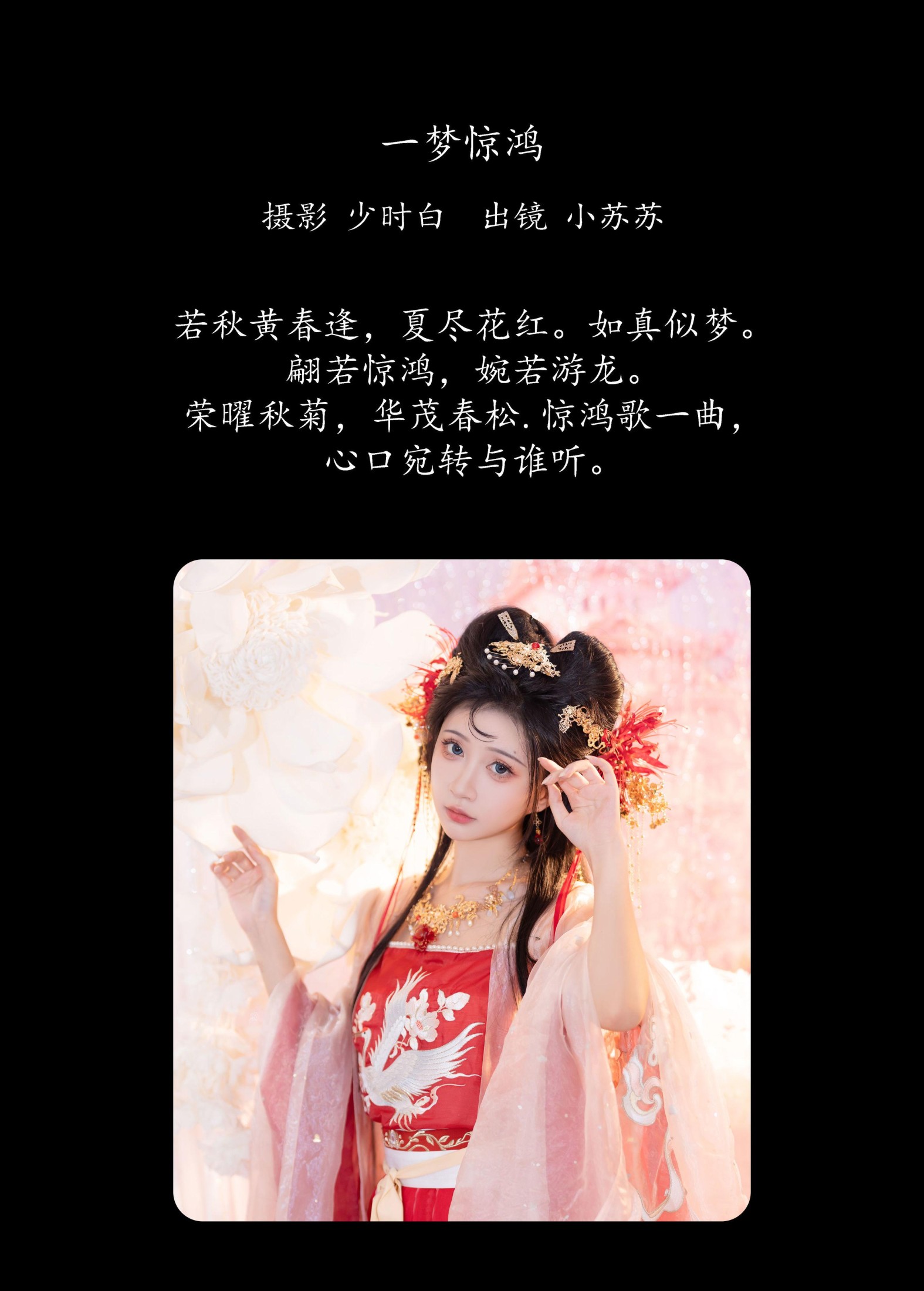 绮罗生的小苏苏 – 《一梦惊鸿》[24P]