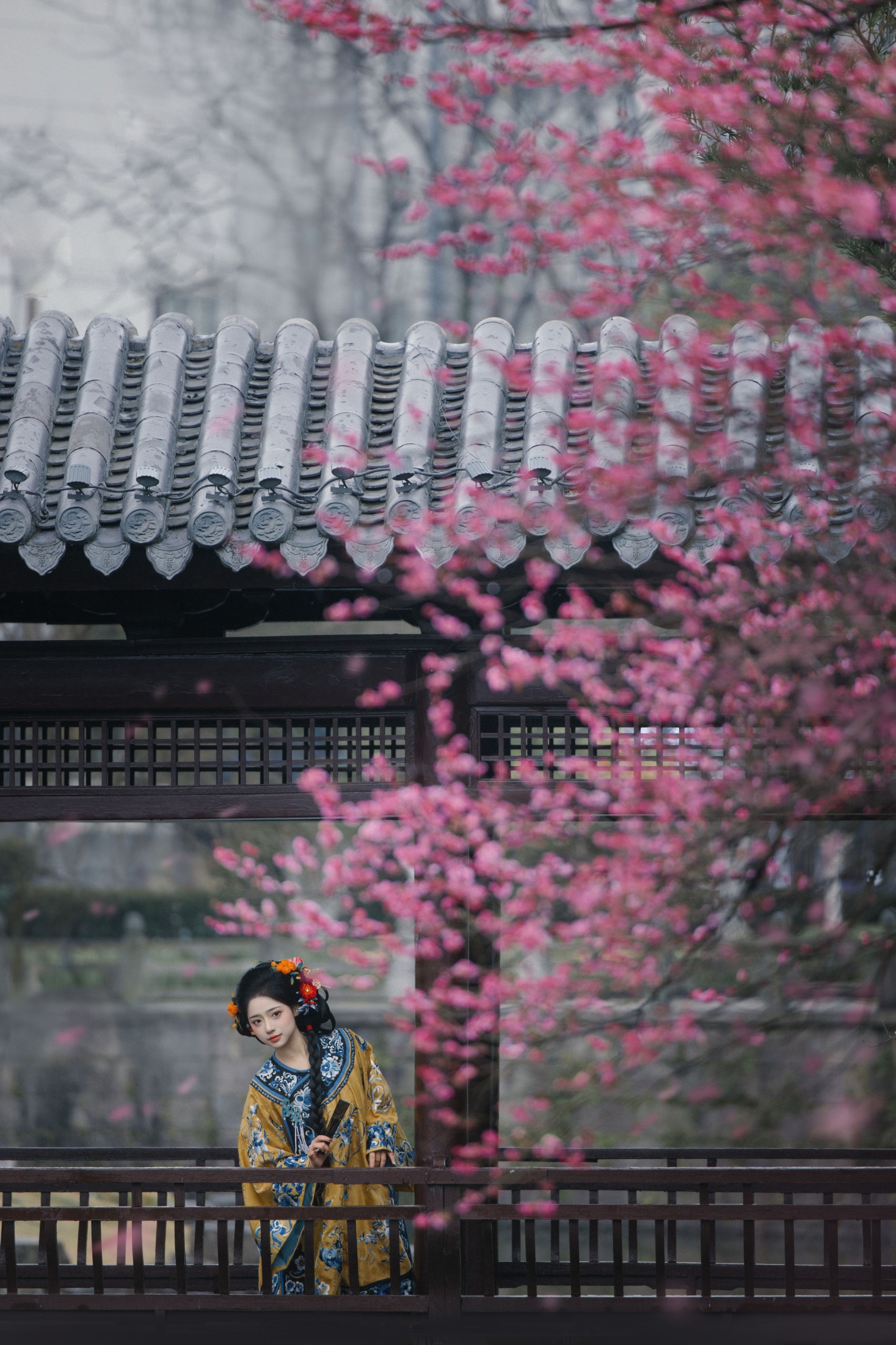 衔鹿 – 《红梅》[24P]