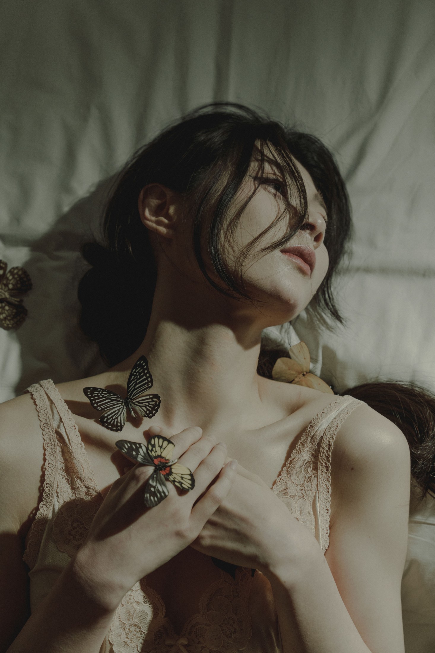 兔兔子 – 《蝶梦》[24P]