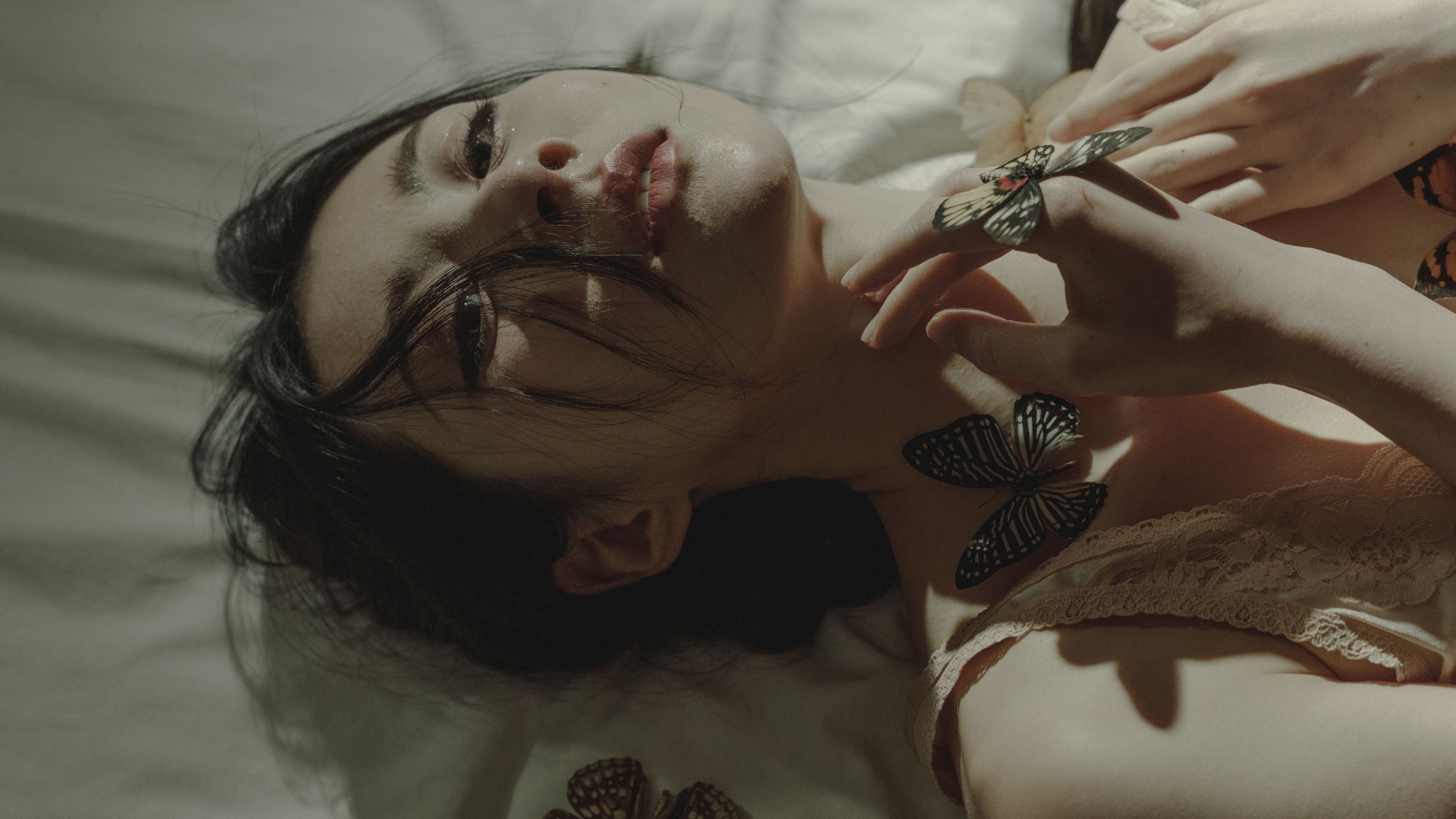 兔兔子 – 《蝶梦》[24P]