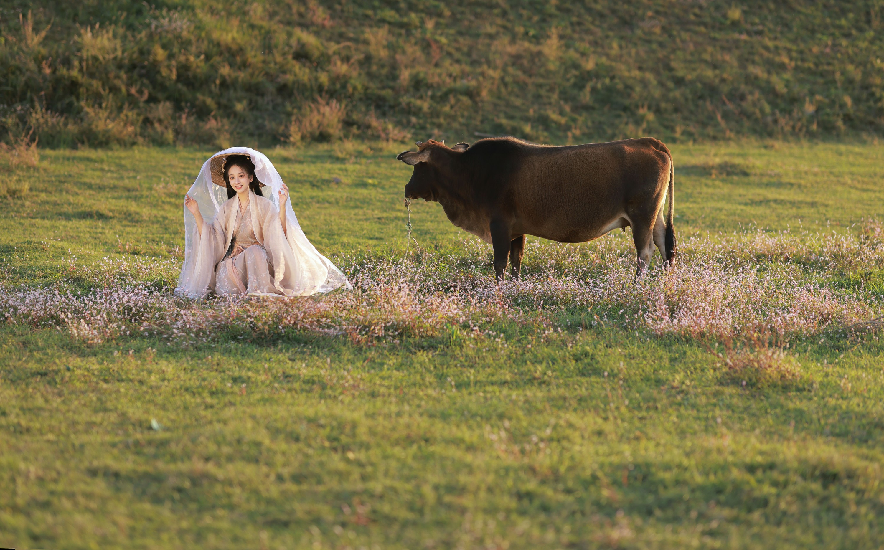 小清菡呀  – 《花花牛》[21P]