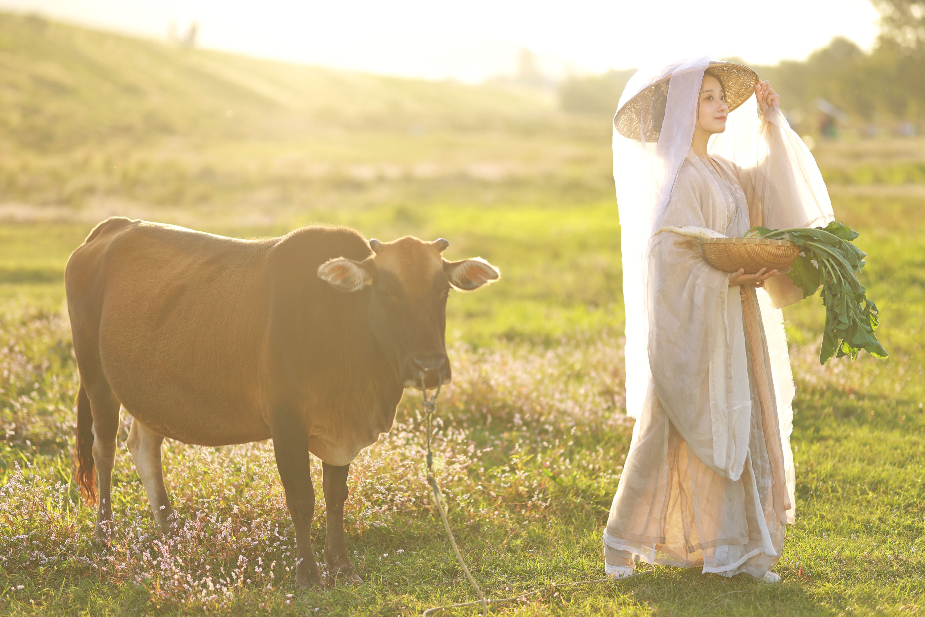 小清菡呀  – 《花花牛》[21P]