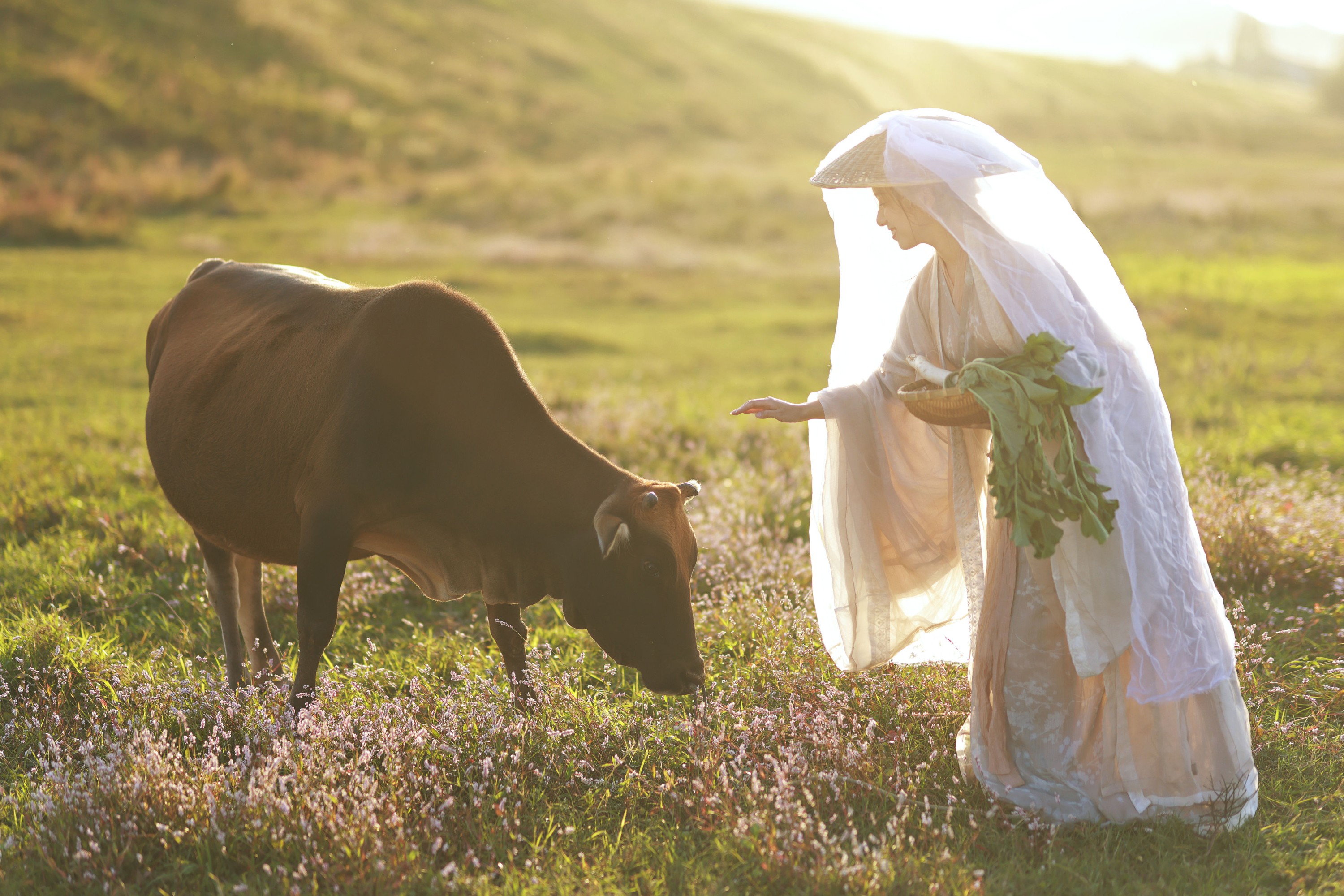 小清菡呀  – 《花花牛》[21P]
