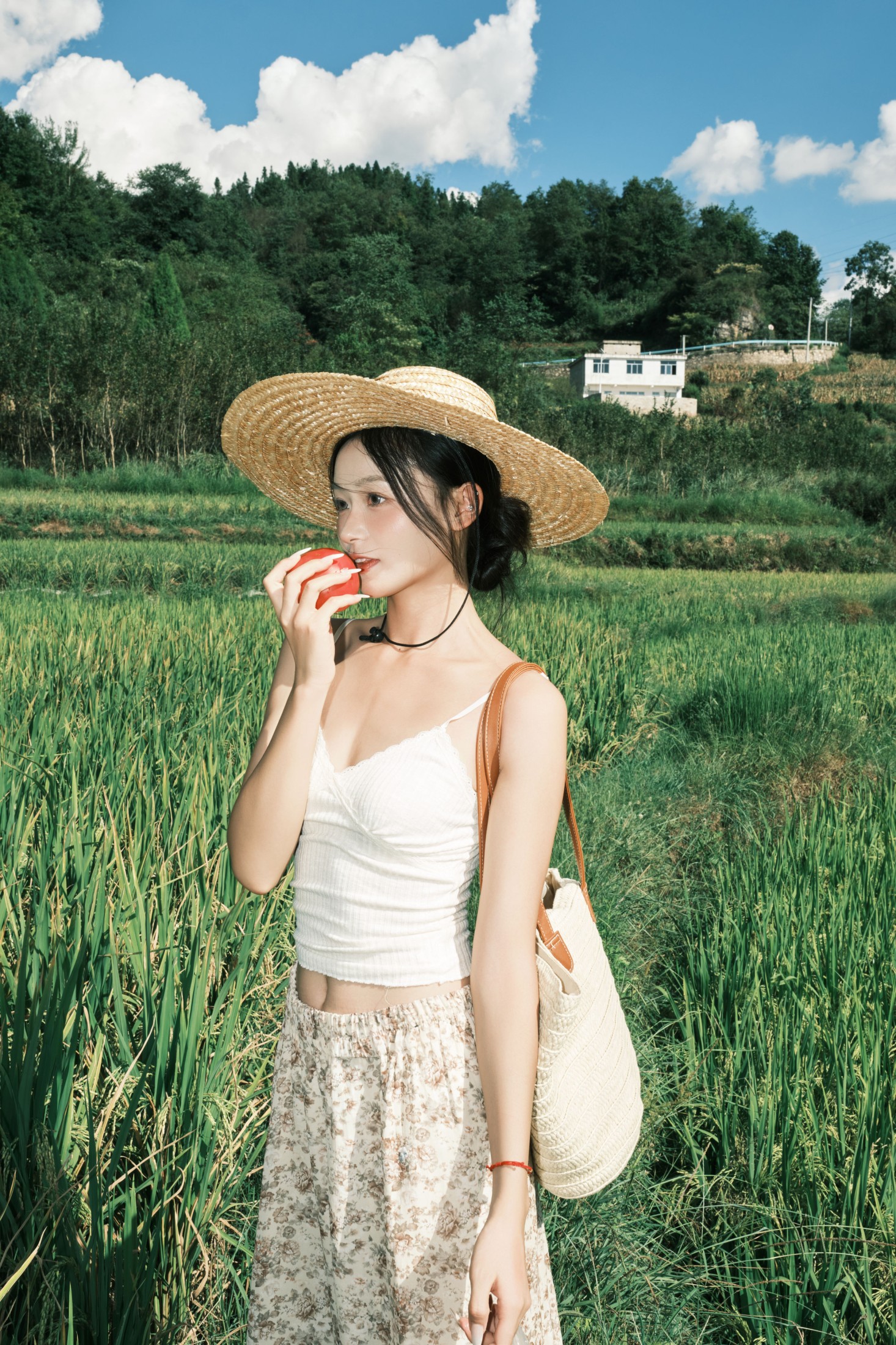 小番茄 – 《无尽夏日》[79P]