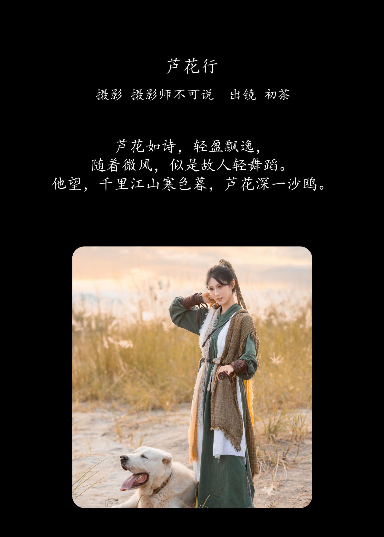 初茶 – 《芦花行》[22P]