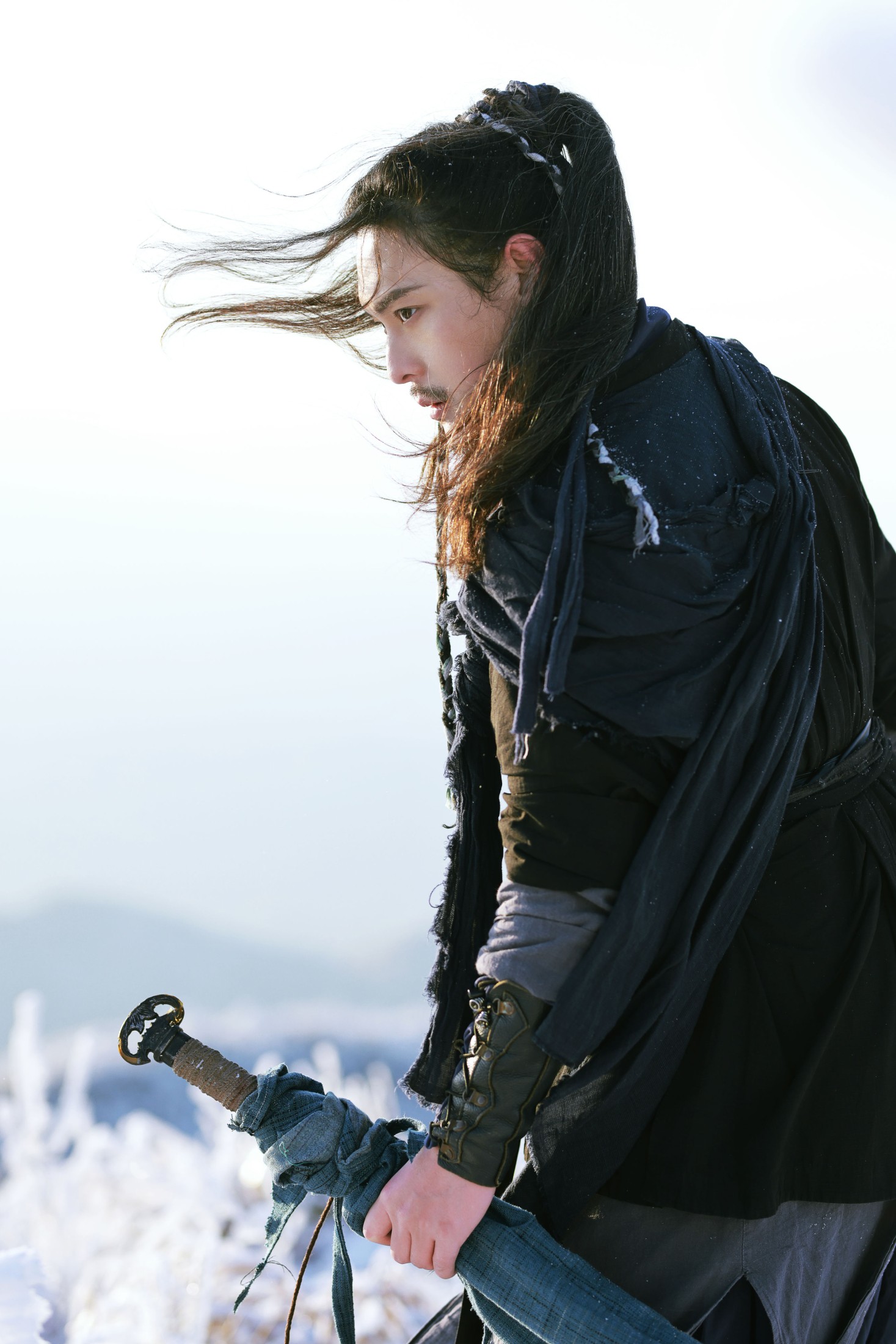 有耳阿郁 庄翰_Roya – 《风雪千山》[20P]