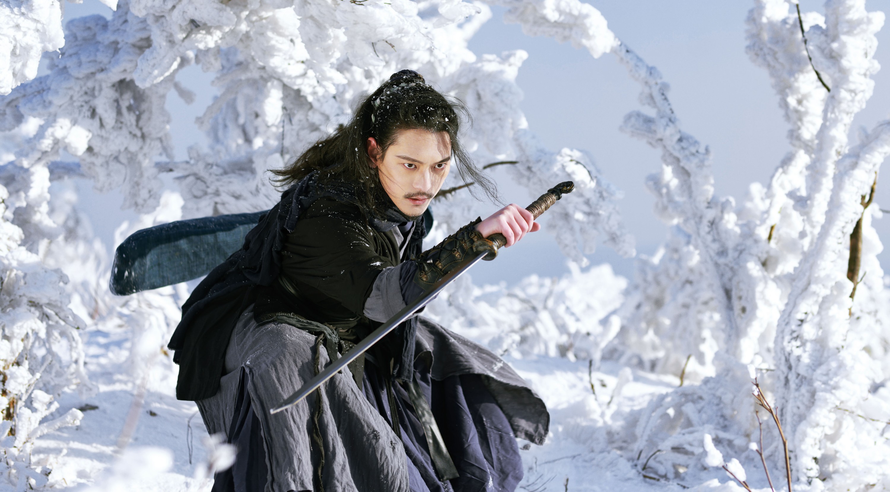 有耳阿郁 庄翰_Roya – 《风雪千山》[20P]