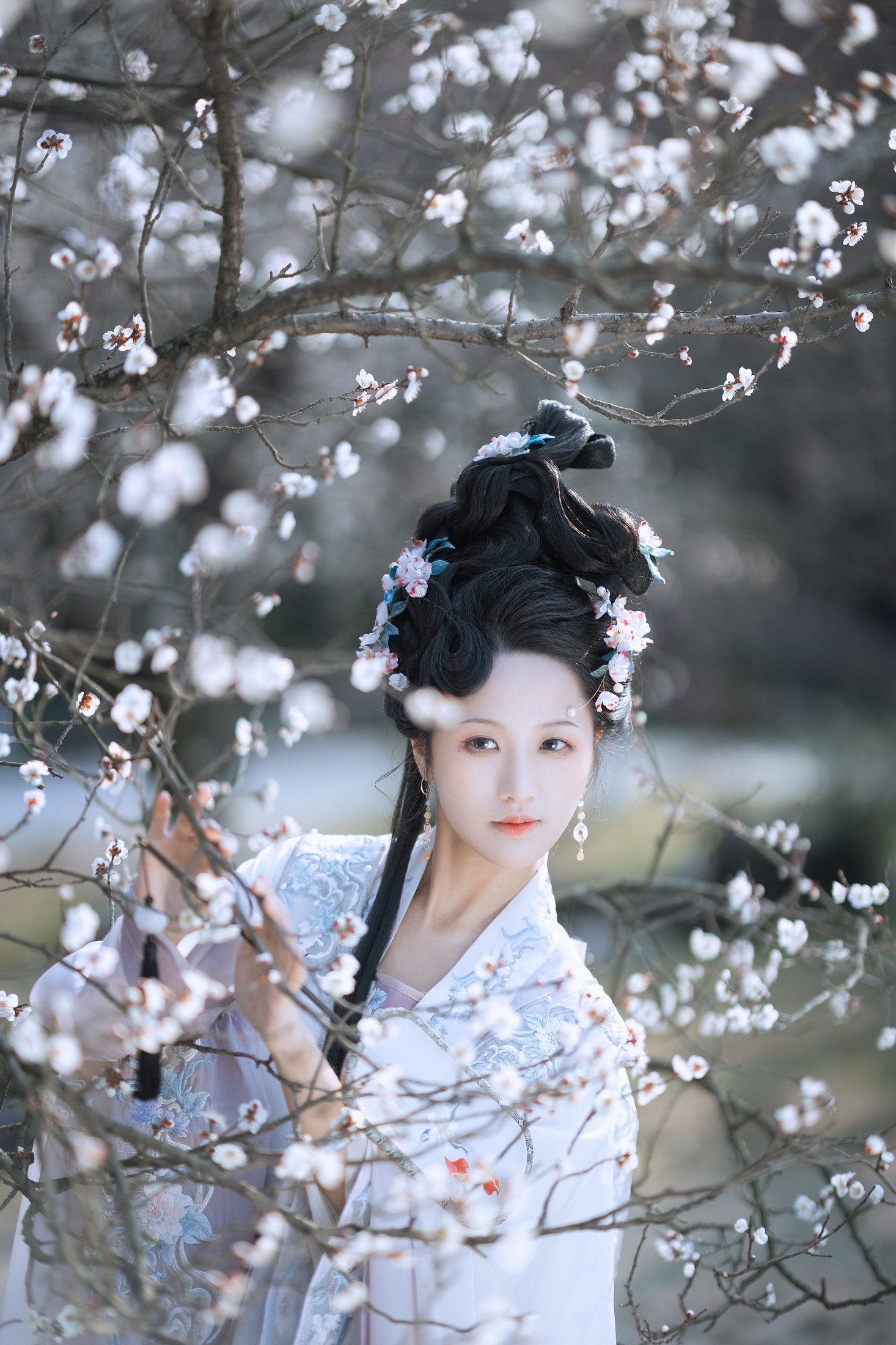 木耳冬了 – 《江南梅花》[33P]