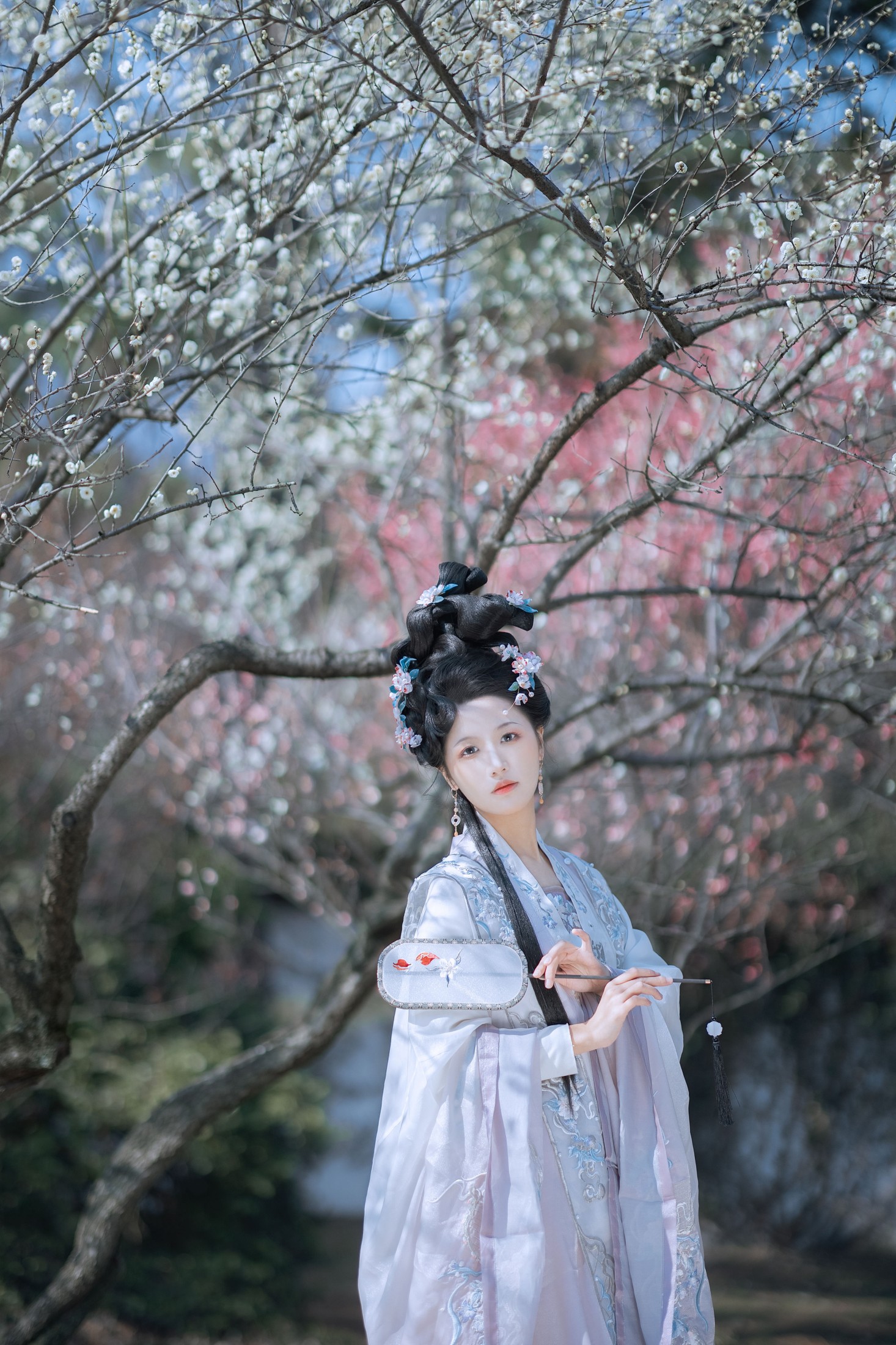 木耳冬了 – 《江南梅花》[33P]