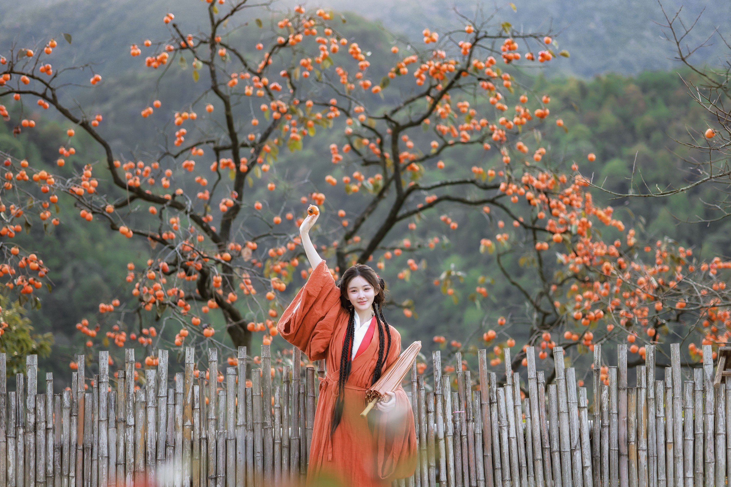 小上官 – 《柿子》[20P]