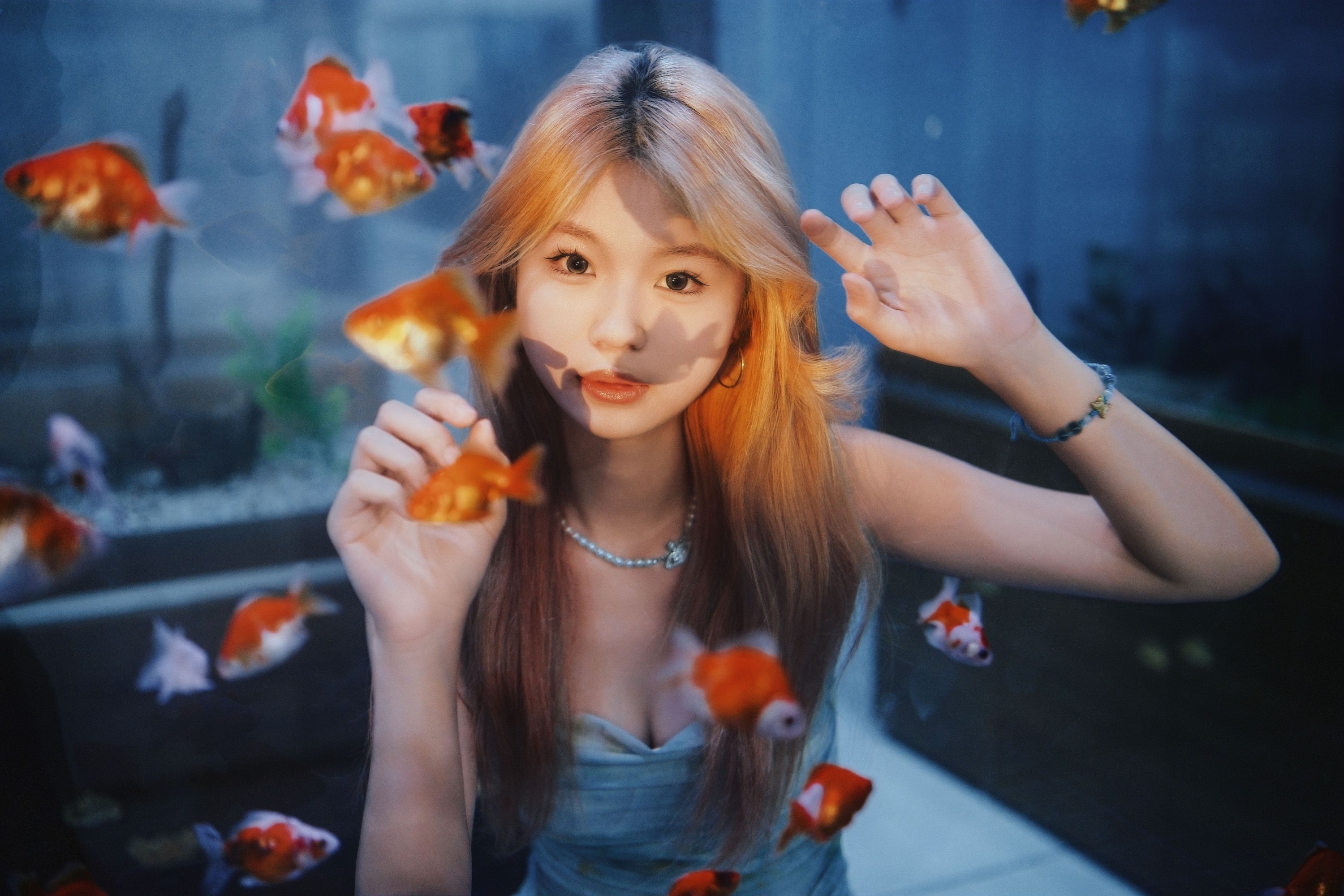 点点 – 《你我都是池中鱼》[22P]