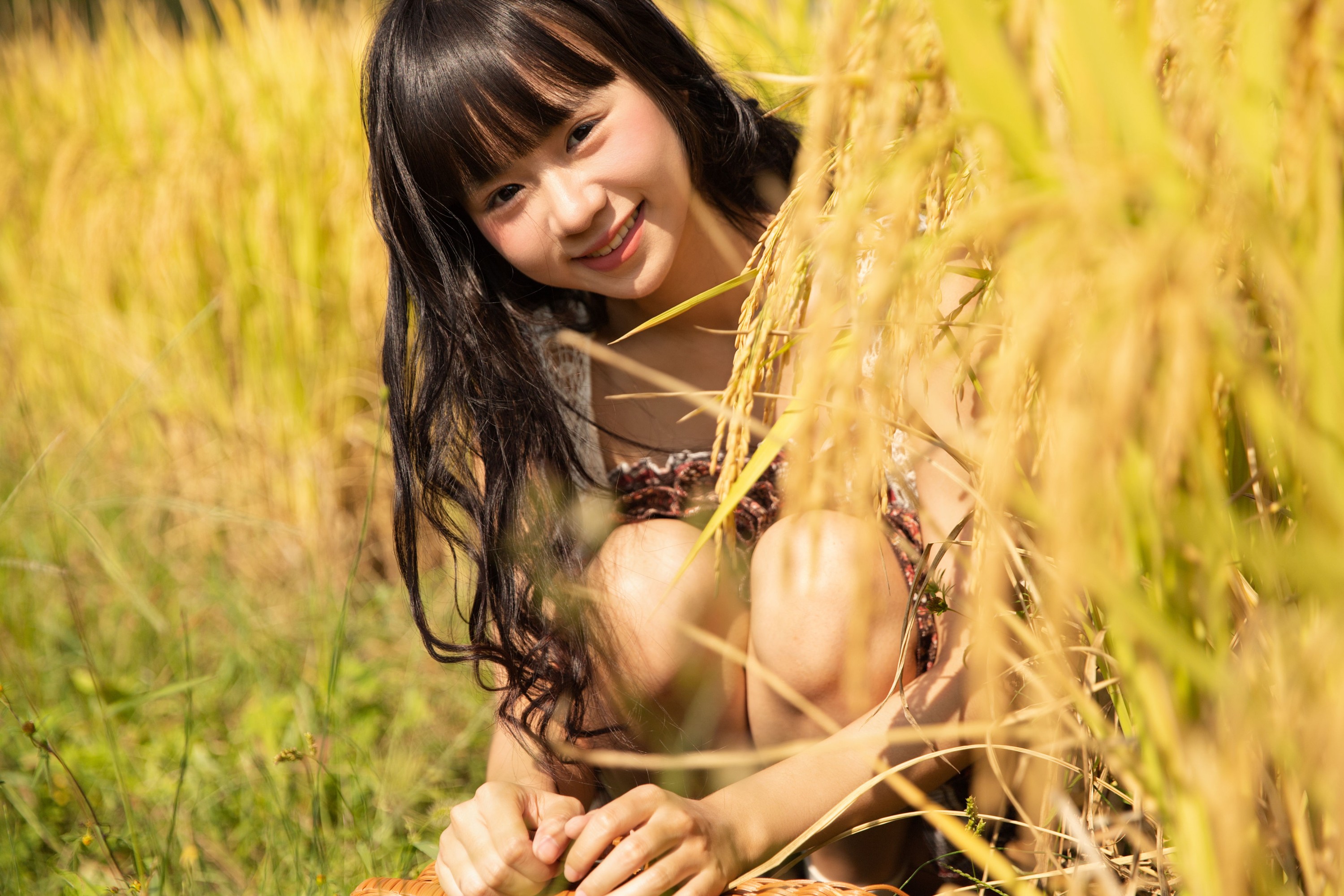 是三金呀 – 《秋日稻田》[29P]