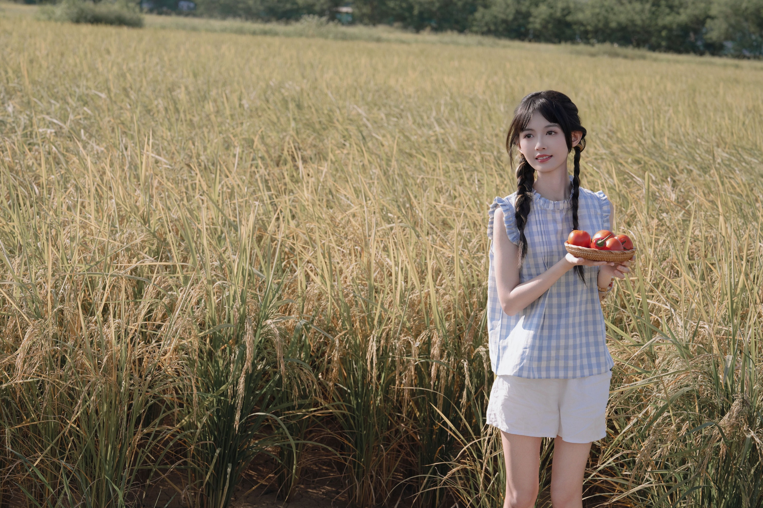 小乐 – 《花田稻香，少女轻颜》[30P]