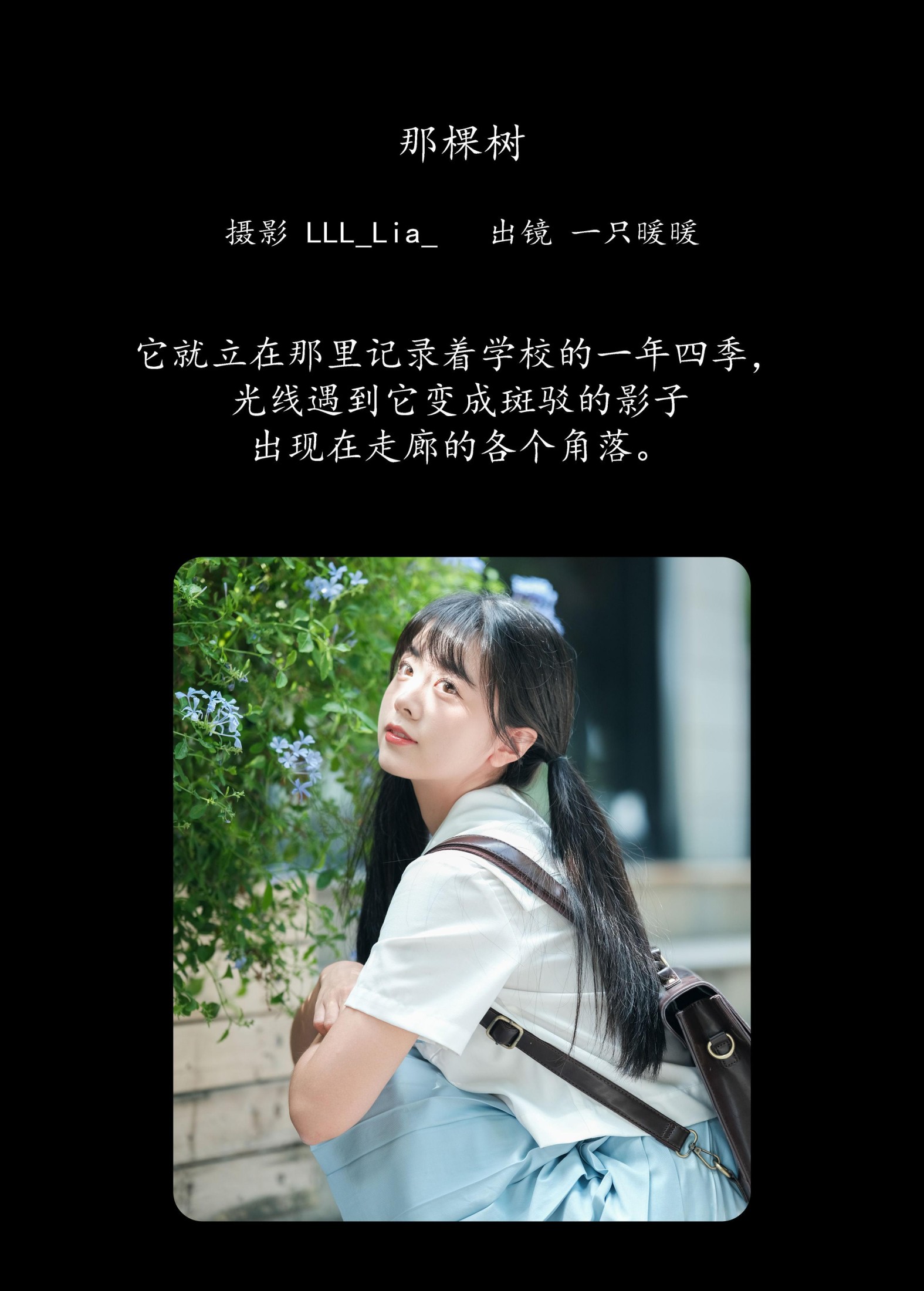 一只暖暖 – 《那棵树》[30P]