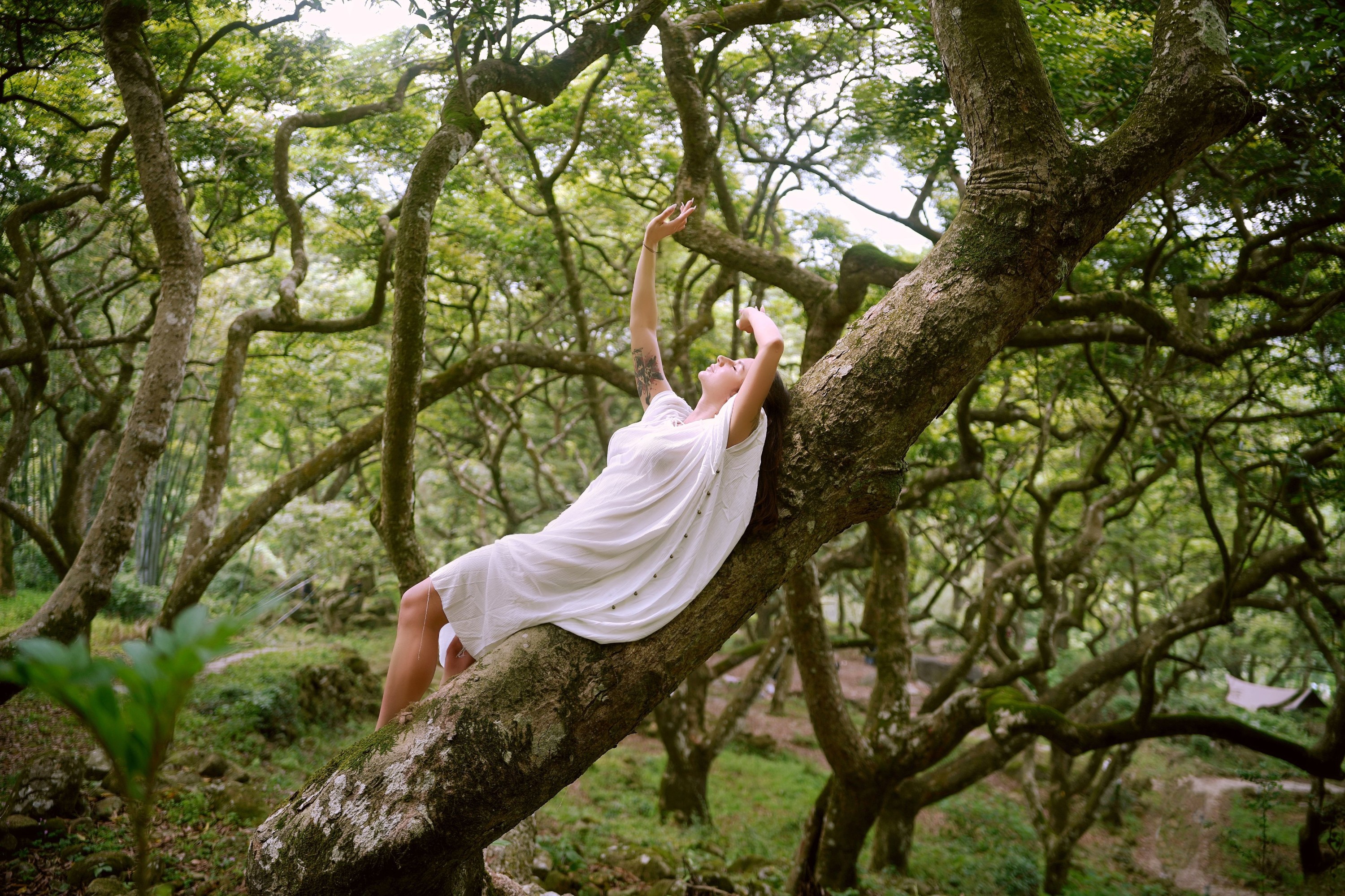 凯莉 – 《树精灵》[22P]