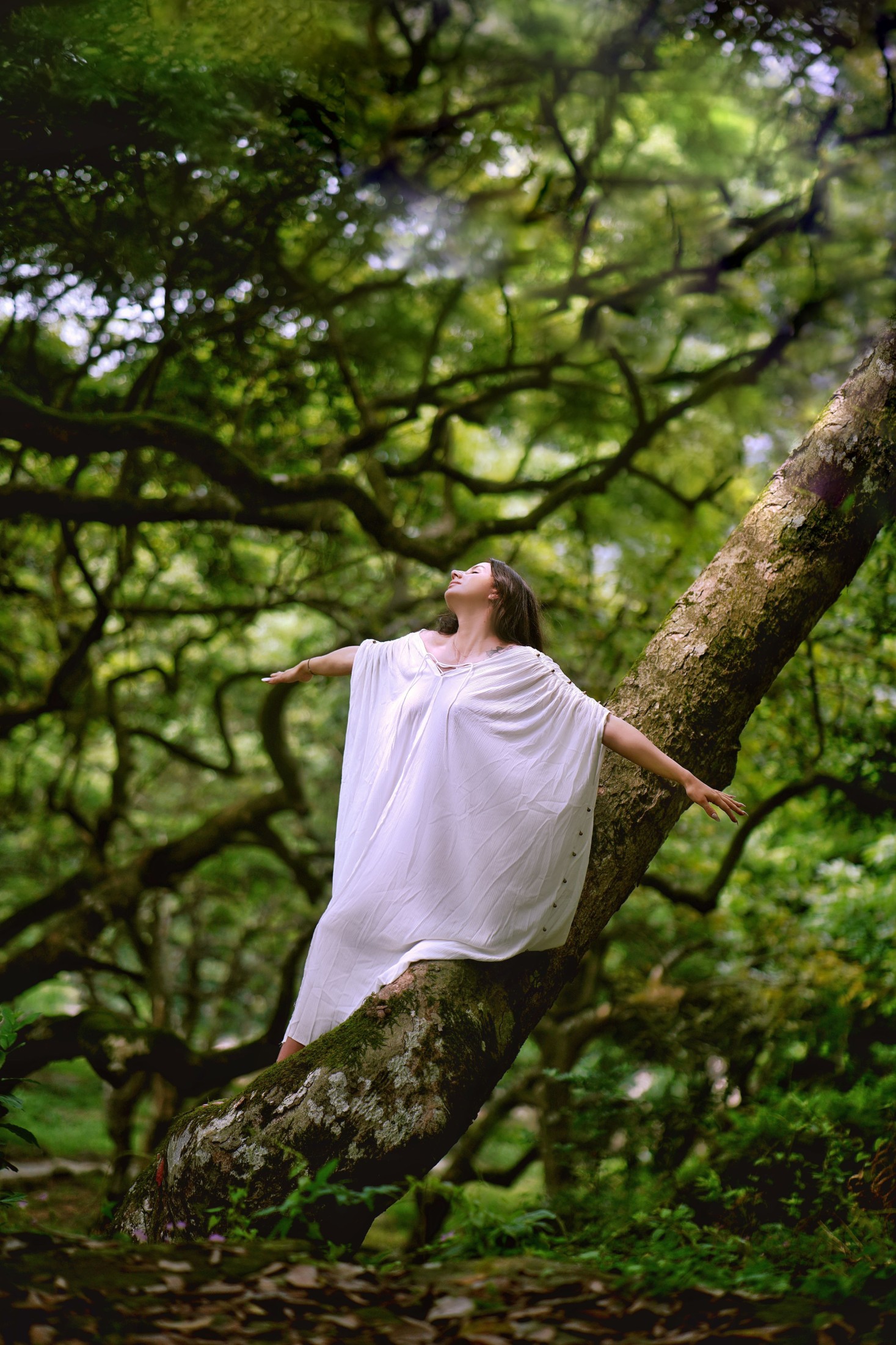 凯莉 – 《树精灵》[22P]