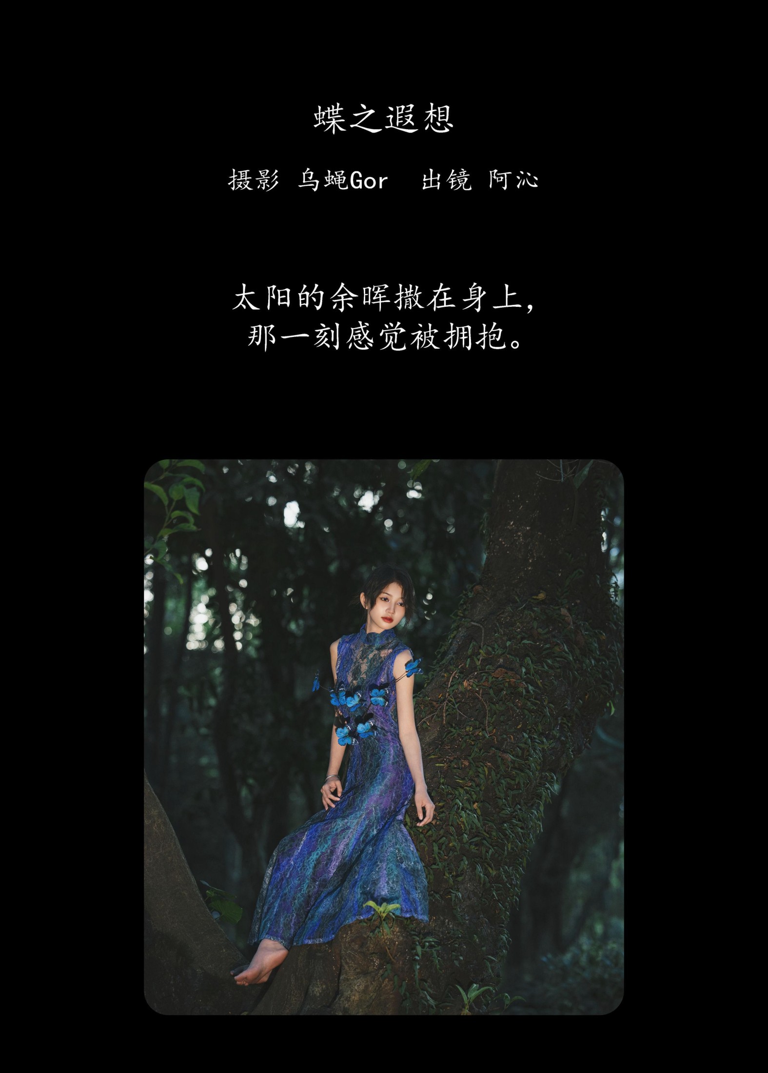 阿沁 – 《蝶之遐想》[27P]
